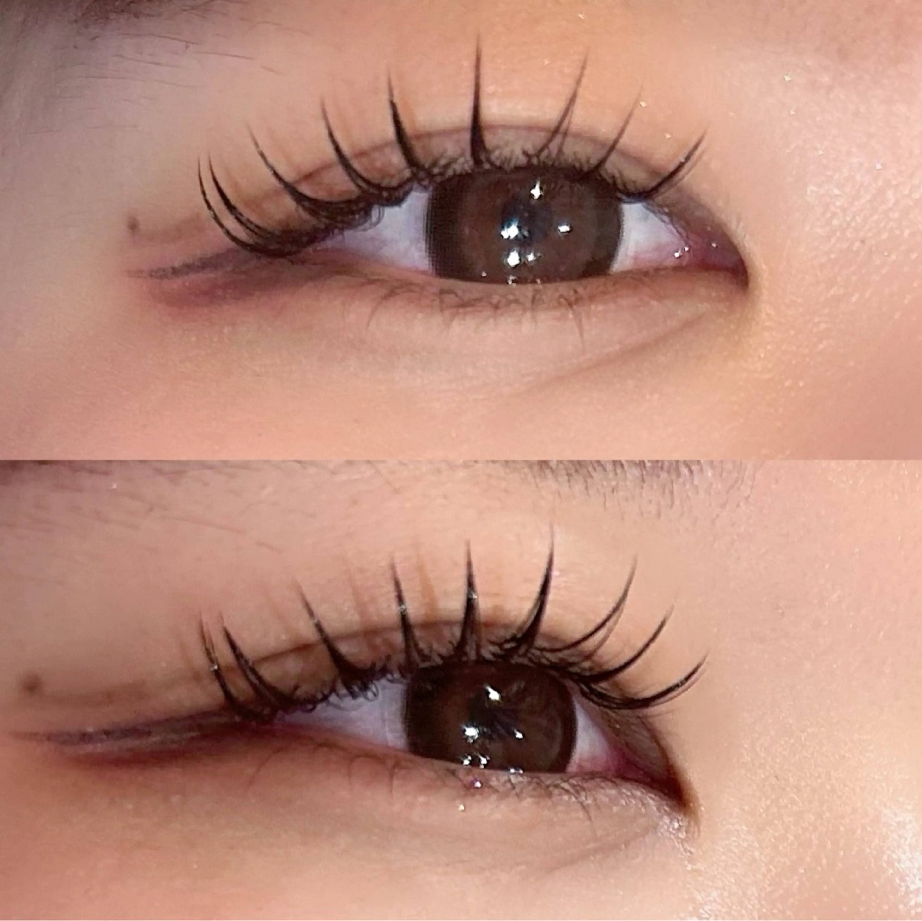 🌷濃さ&持続！オフあり！バインドロック80束🌷の写真