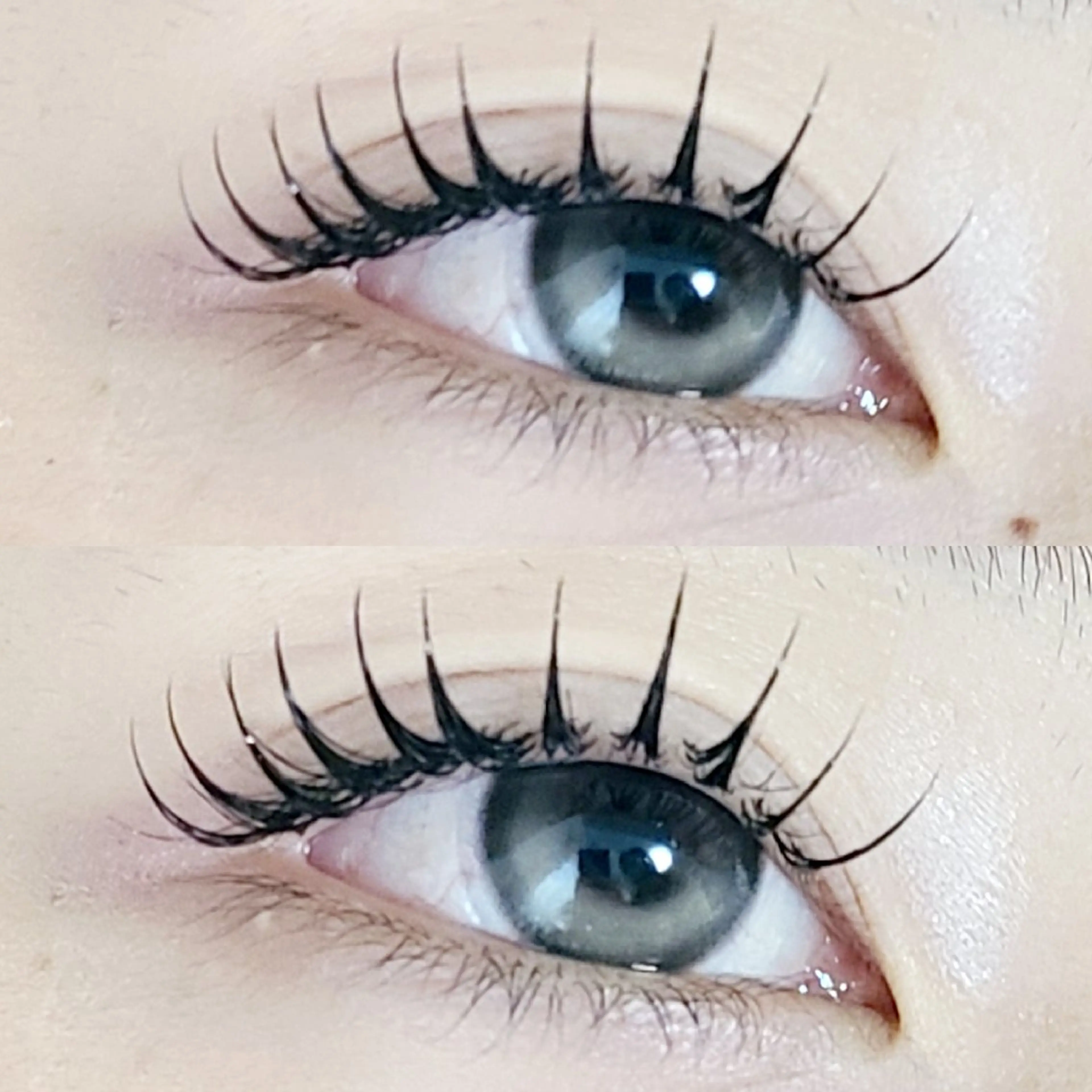 マツエク・マツパ 束感まつ毛 フラットラッシュ 韓国風マツエク マツエク セレビアイ/ ISHIIのマツエク・マツパデザイン