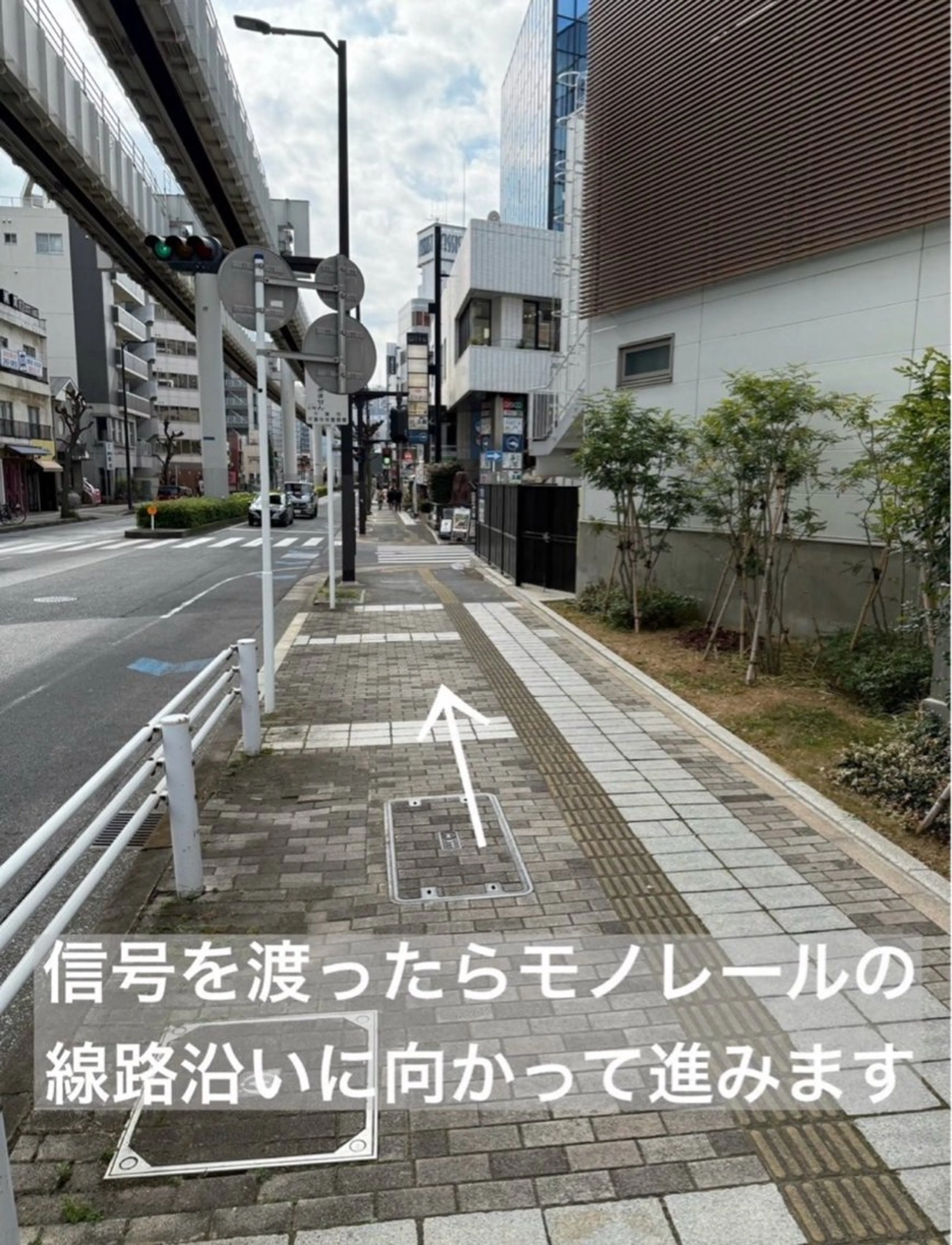 ショート カラー カット 縮毛矯正 トリートメント midori osawaのヘアスタイル