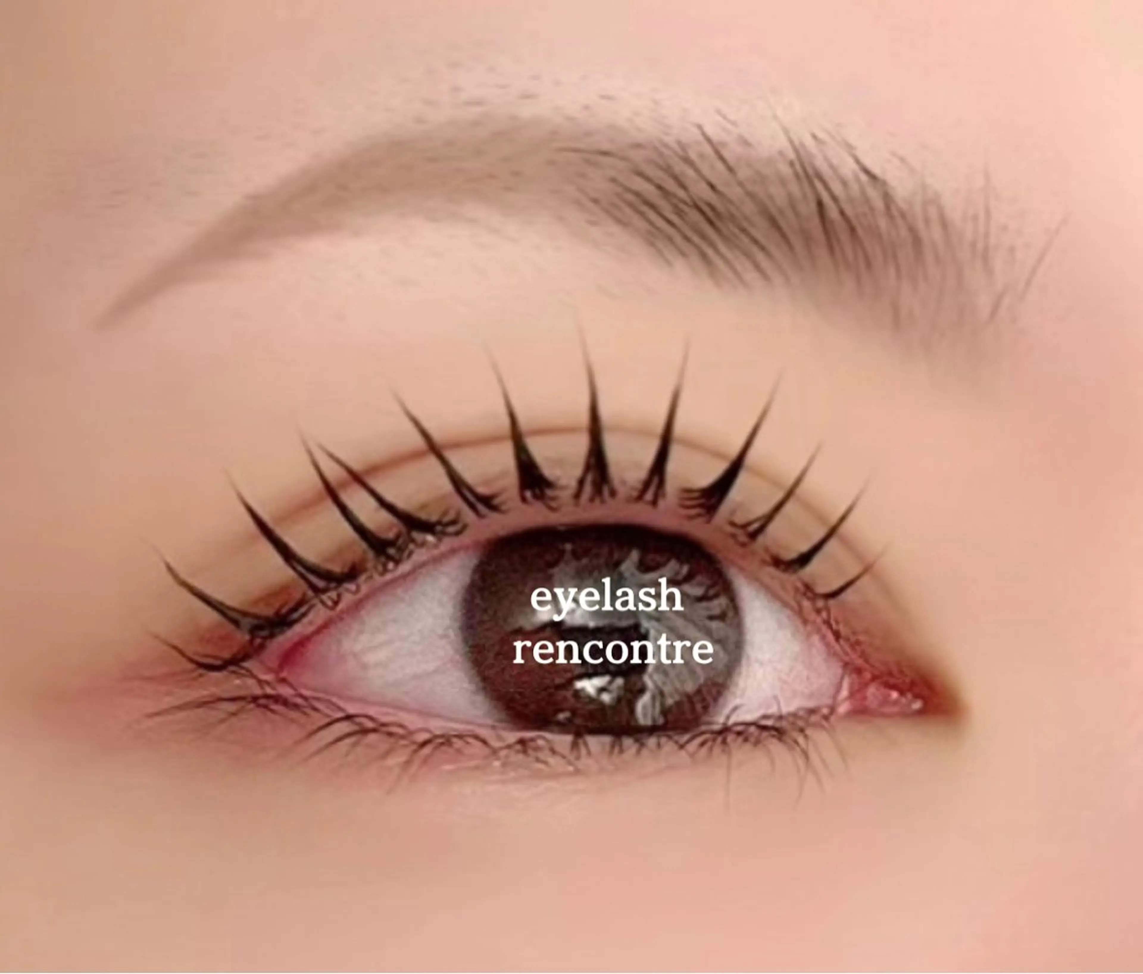 パリジェンヌラッシュリフト+ コーティング美容液付き♡の写真