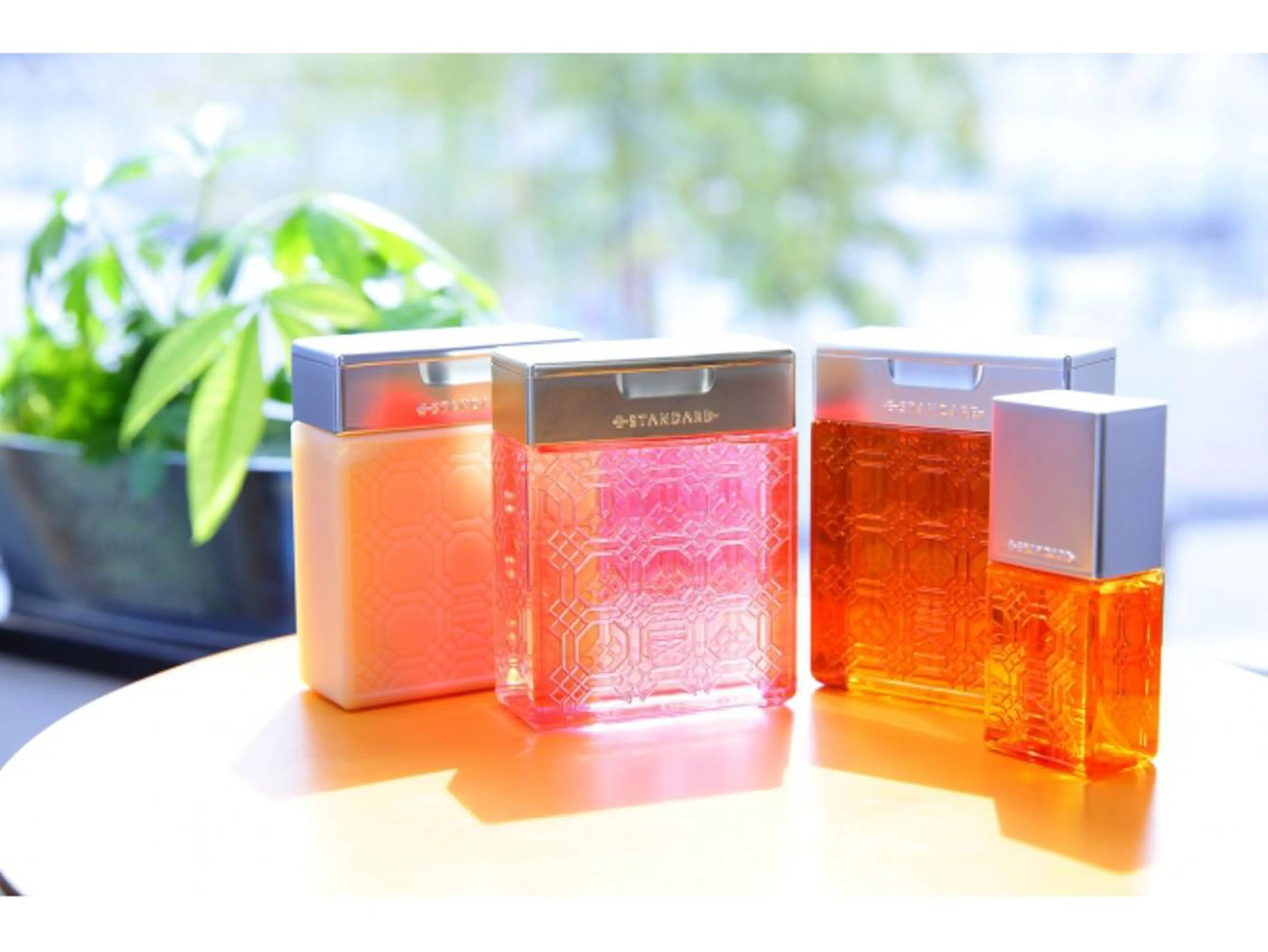 菊池 貢平のヘアスタイル