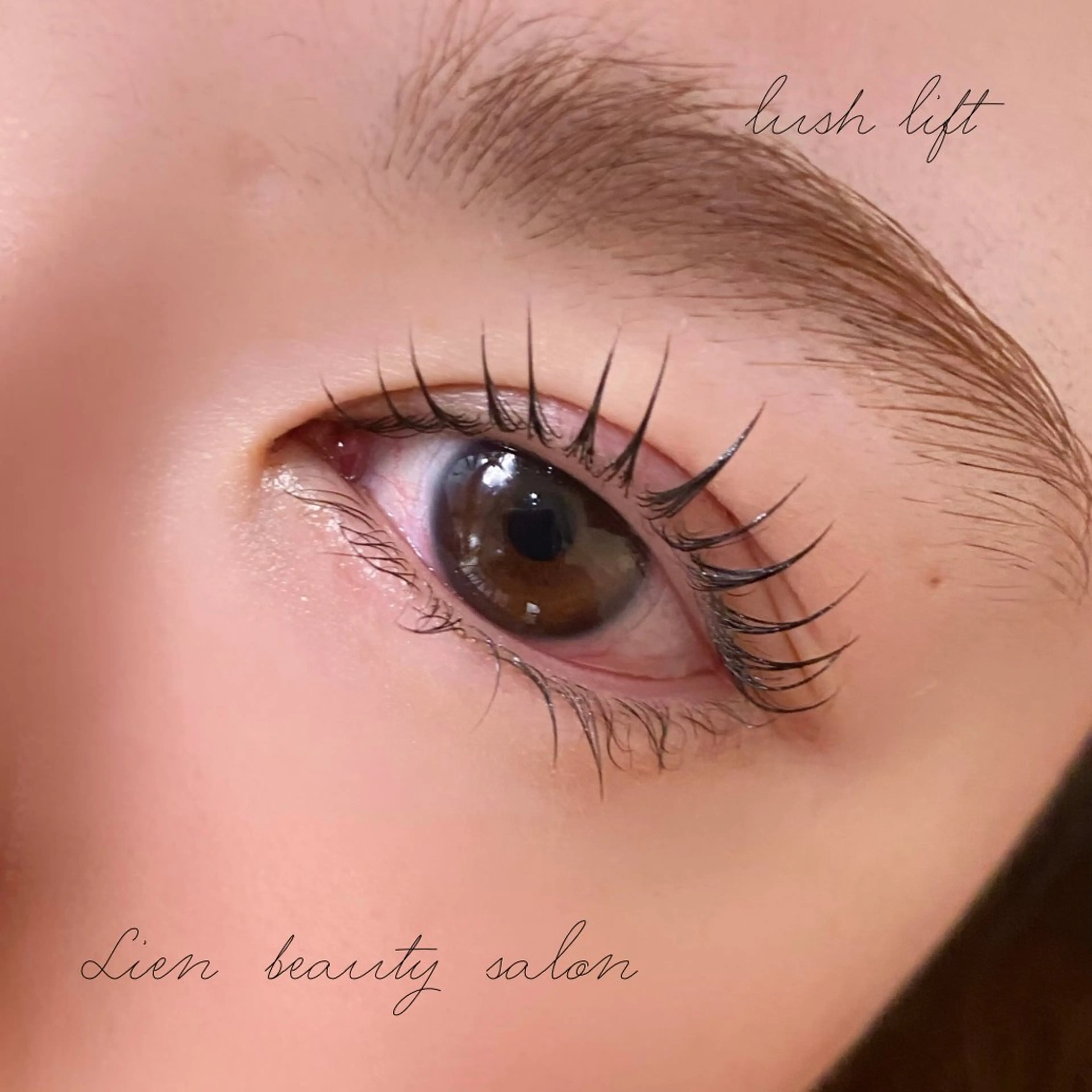 マスカラパーマ＋ヘッドスパ付き　ラッシュリフトの写真