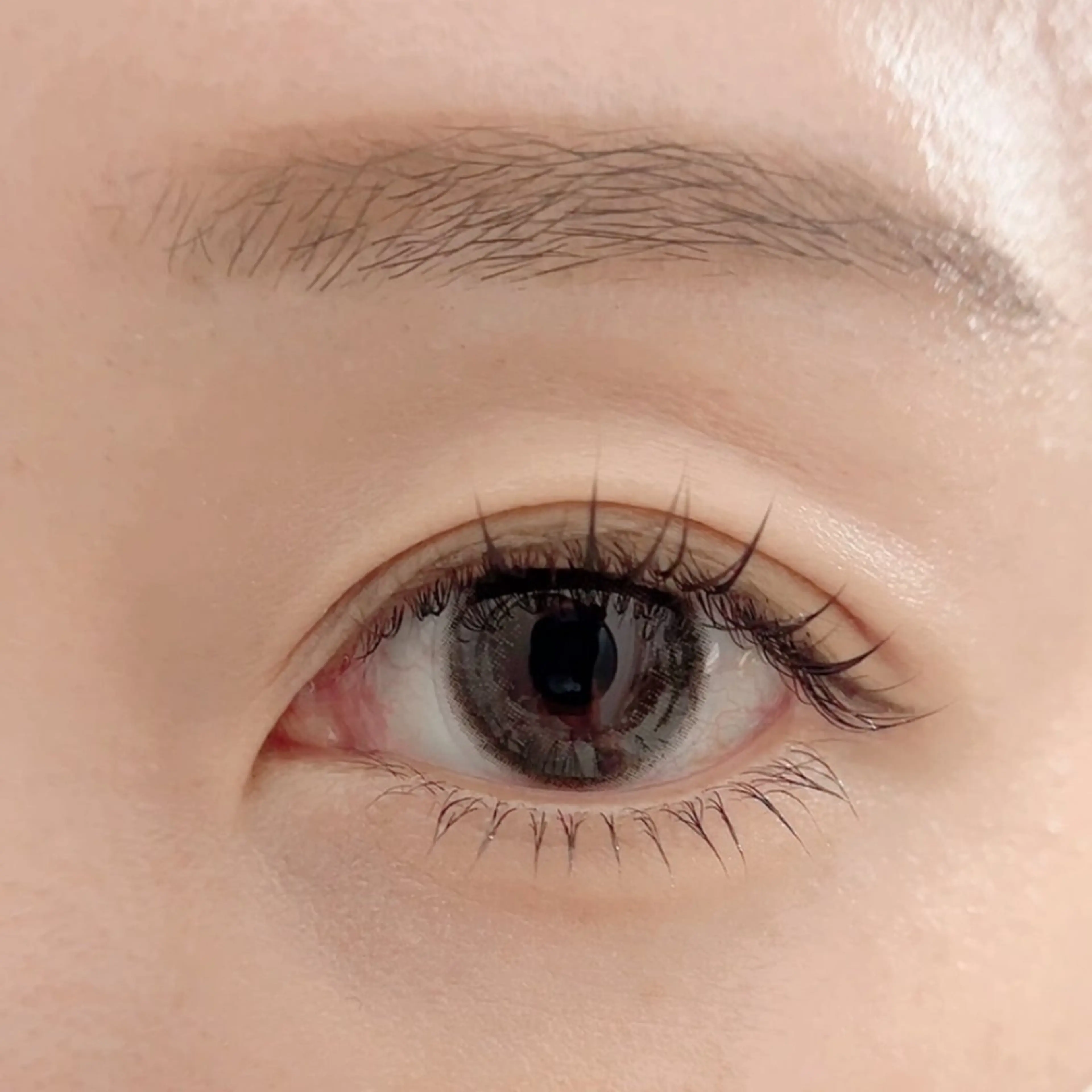 マツエク・マツパ 下まつげエクステ 一重×まつ毛パーマ マツパ shall cocotteの眉毛・アイブロウイメージ