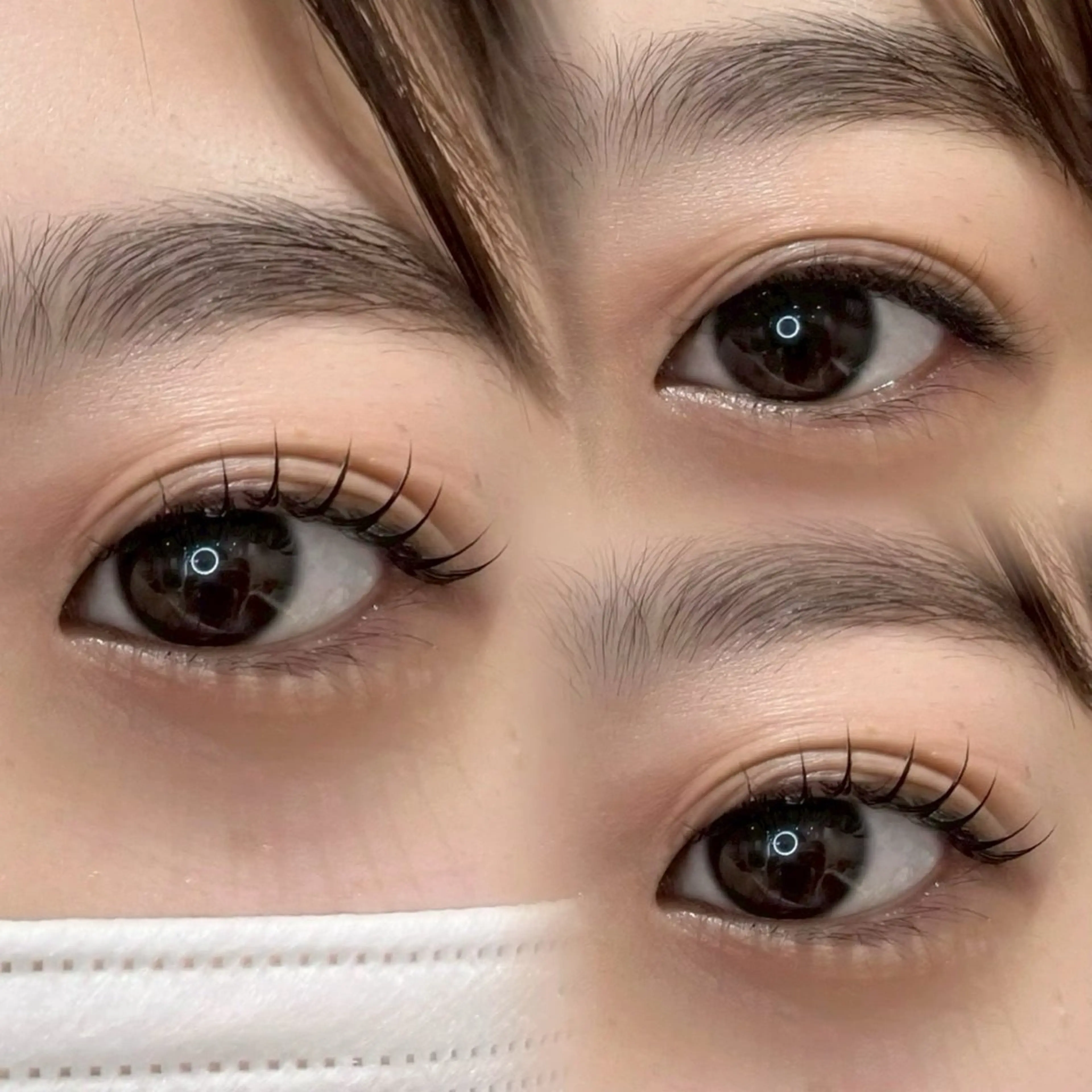 【🌸4/16二名限定🌸トレンド】韓国風束感まつげパーマ🎀の写真