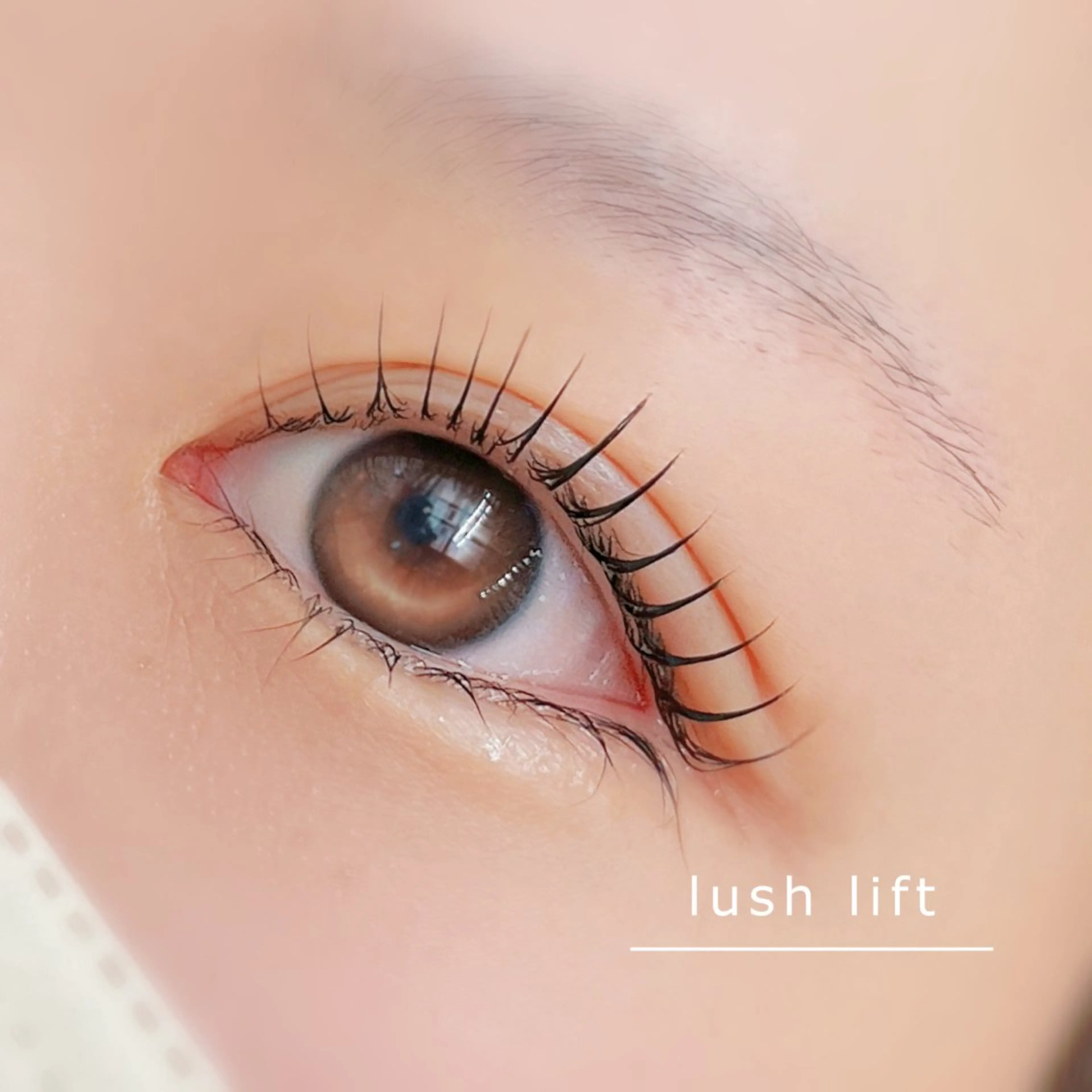 マツエク・マツパ フラットラッシュ 韓国風マツエク パリジェンヌラッシュリフト まつげパーマ 一重×まつ毛パーマ マツパ mai /マツパ.眉のマツエク・マツパデザイン