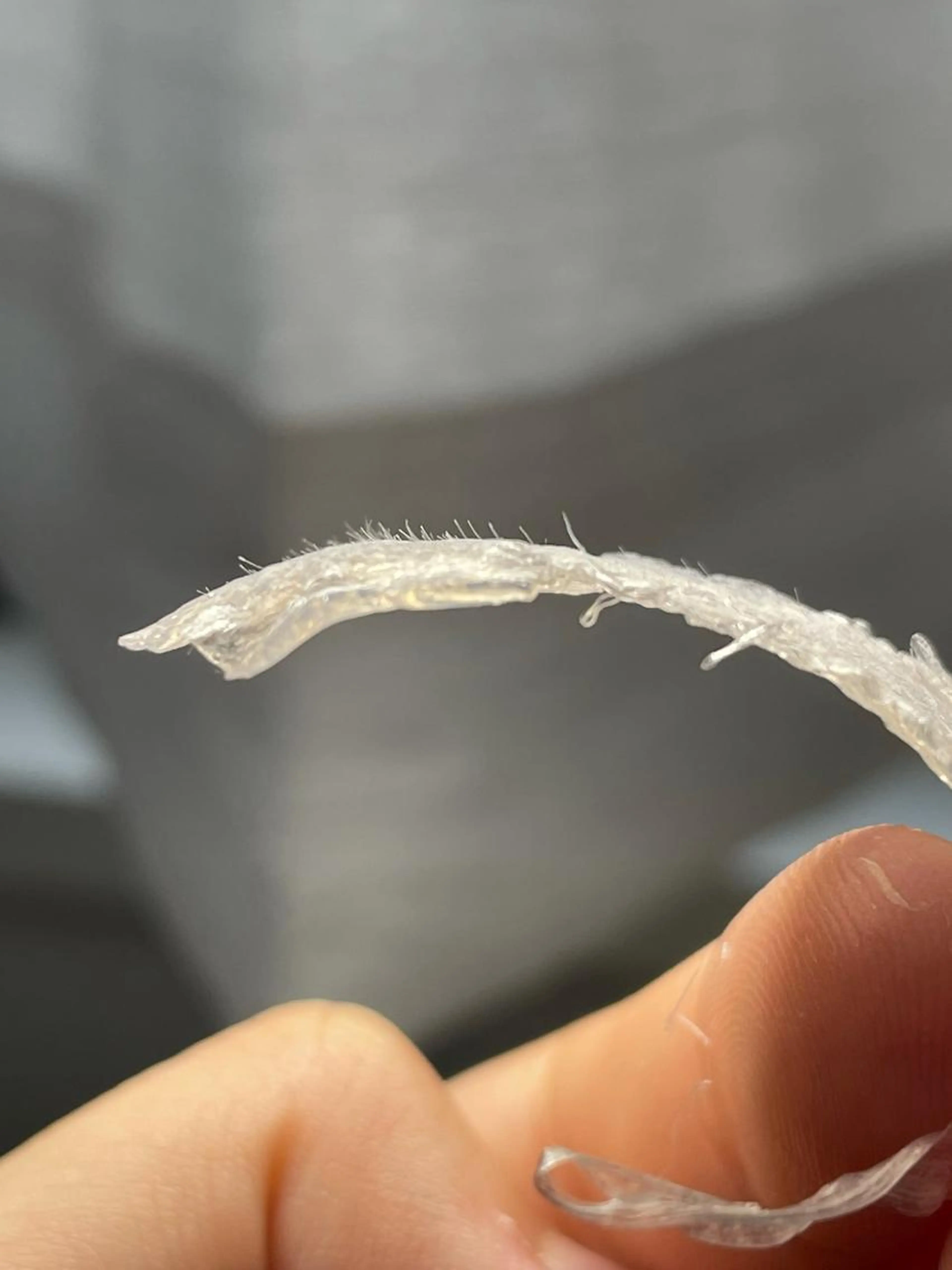 ◾️憧れのツヤ肌！鼻の黒ずみ、くすみ、産毛全部綺麗に！ダウンタイムなしの東京で大流行マリムーブフェイシャルワックス◾️の写真