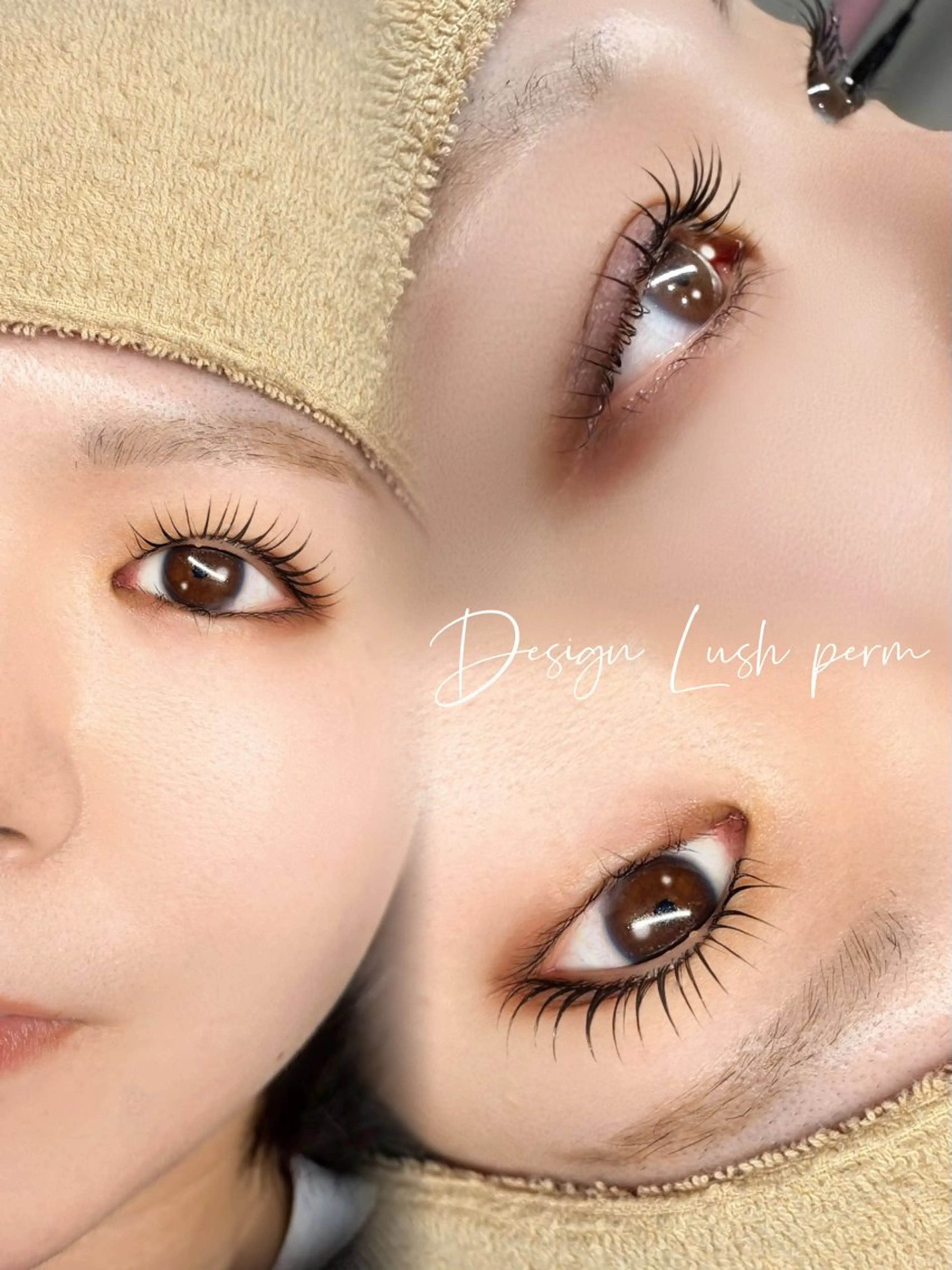 韓国風上まつ毛パーマ＋アイシャンプー付¥3960口コミご協力特典｜アイパック付きの写真