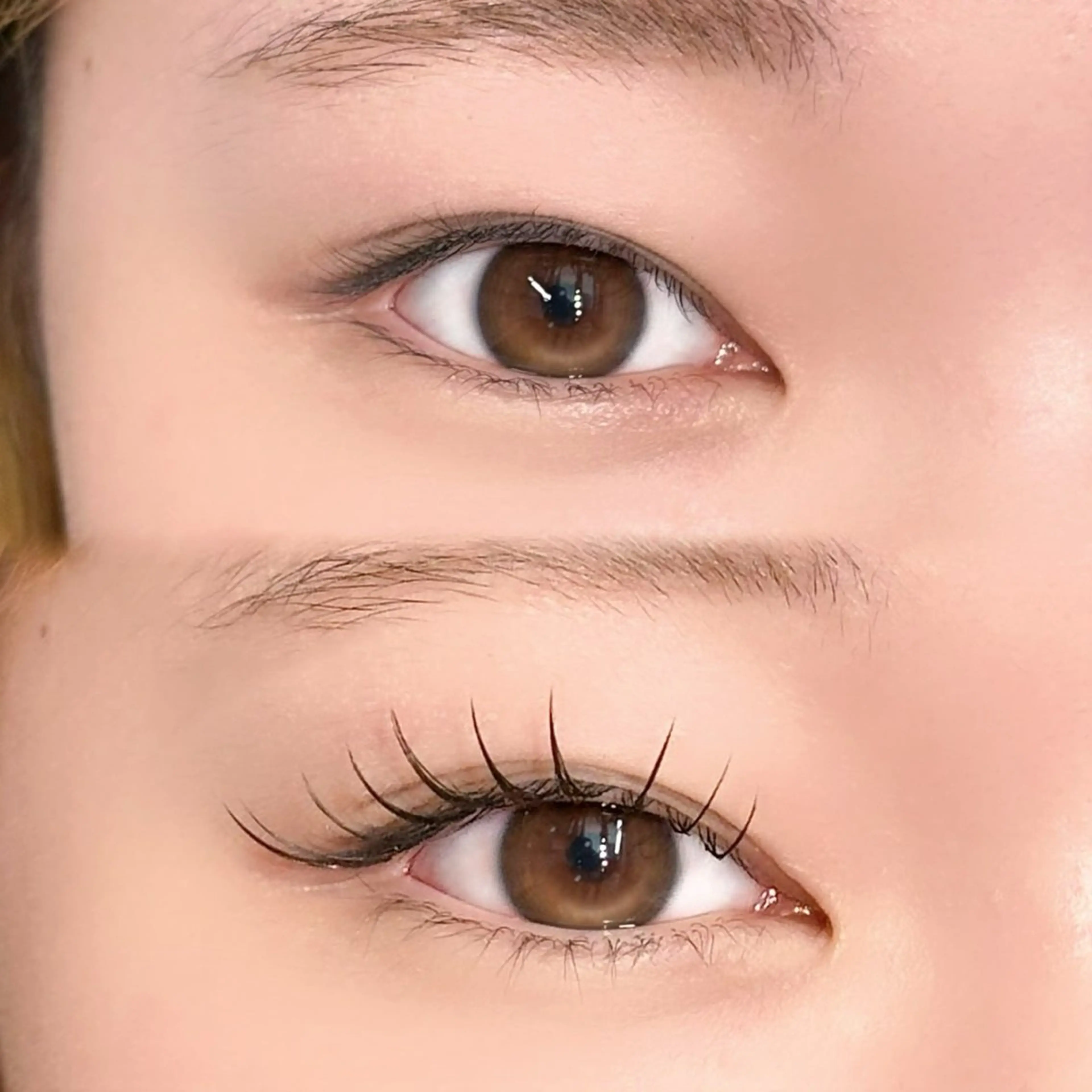 マツエク・マツパ フラットラッシュ マツエク 菊田 未来のマツエク・マツパデザイン