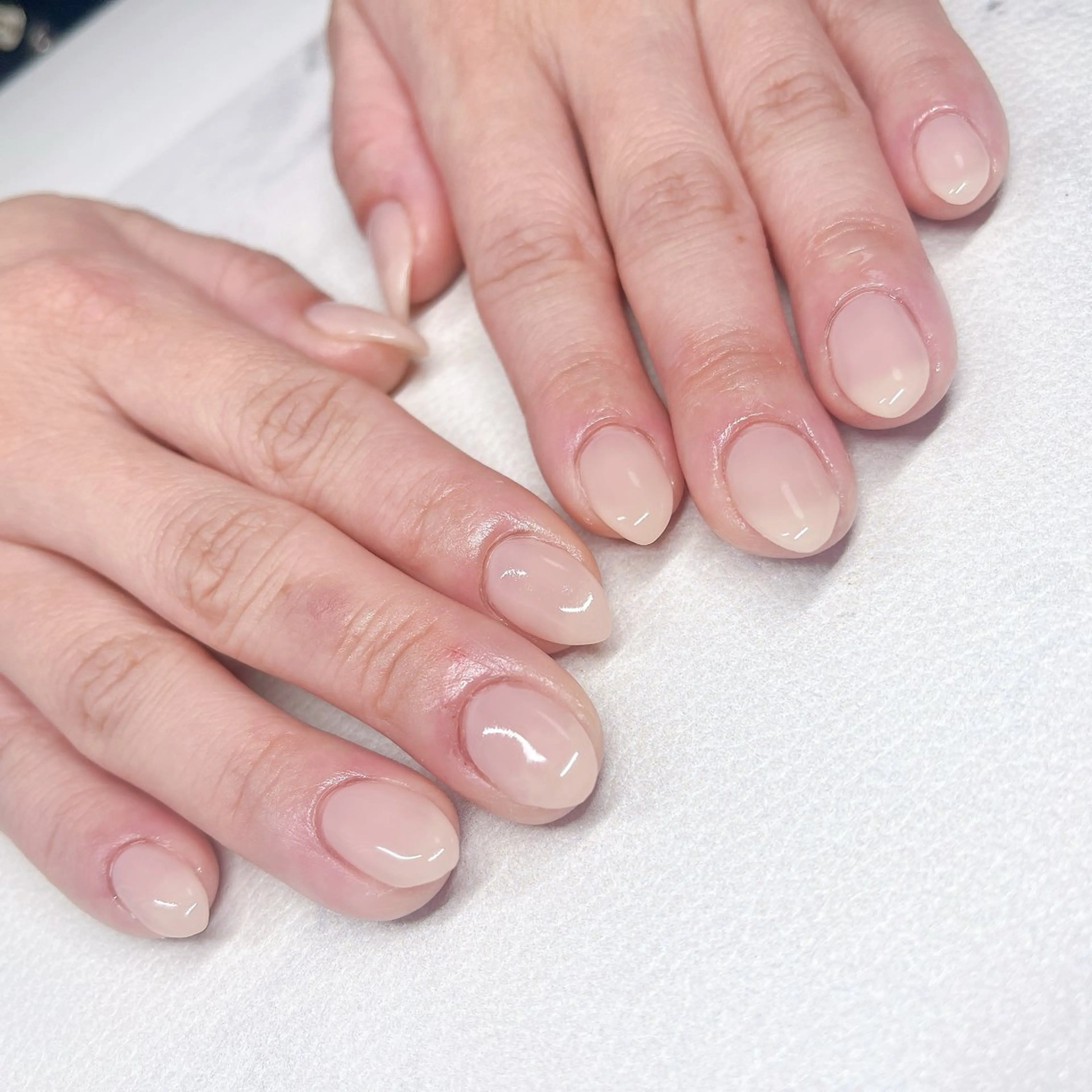 ハンド✨️ワンカラーorラメグラデーションネイル💅✨の写真