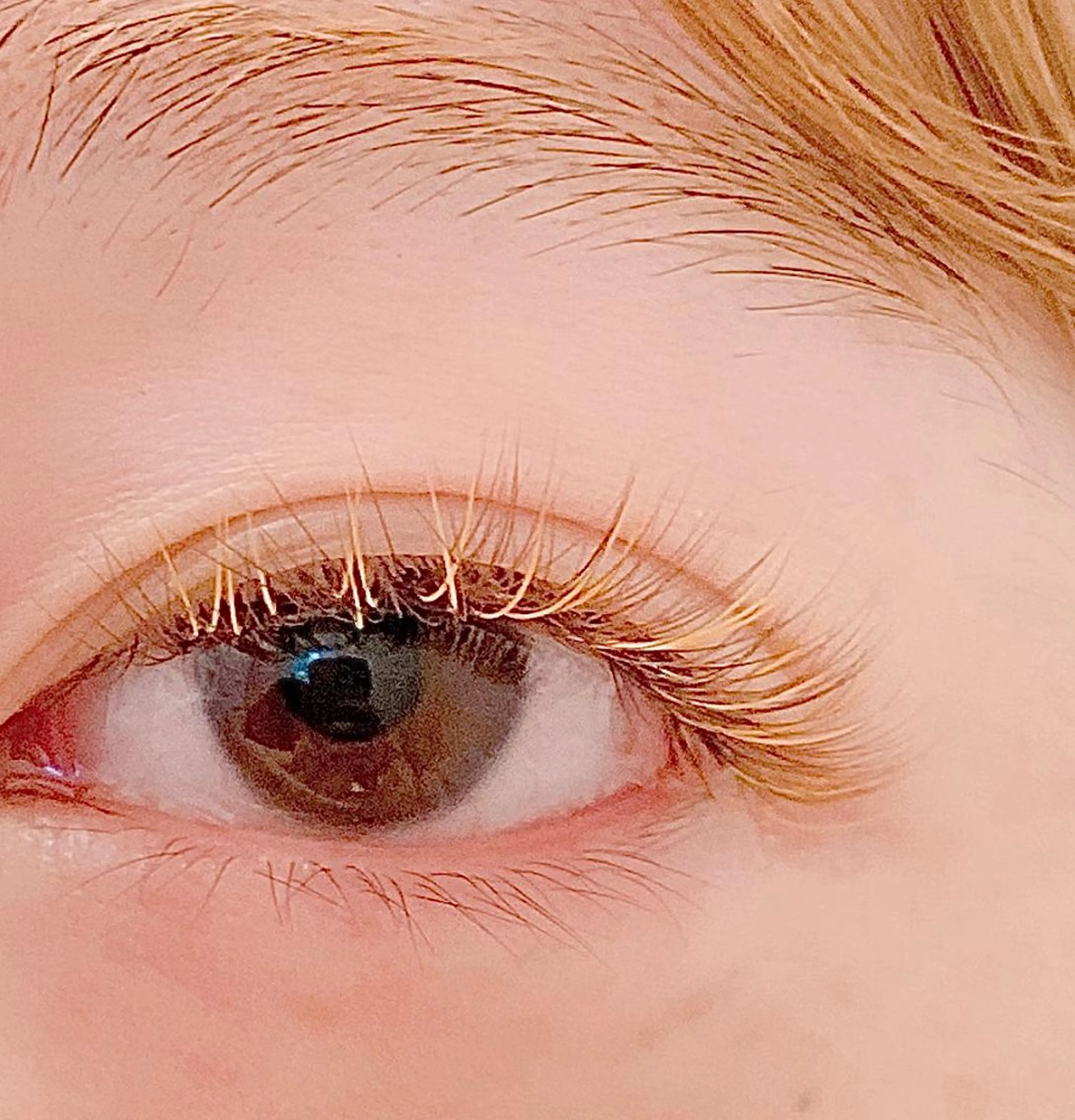 マツエク・マツパ カラーマツエク セーブル ボリュームラッシュ AYANO &　YUKAのマツエク・マツパデザイン