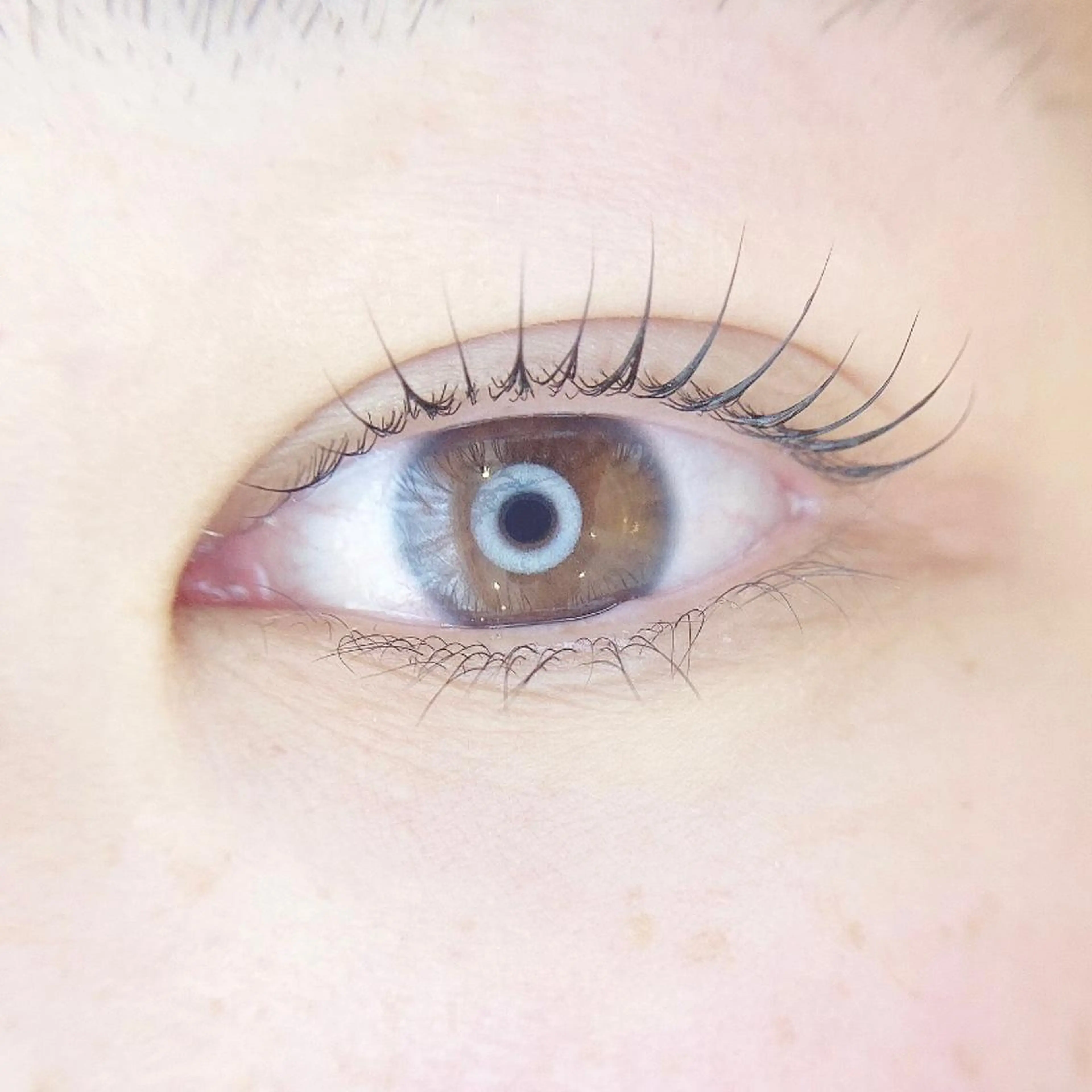 マツエク・マツパ マツパ Beauty salon STELLA所属・STELLA 大西南帆のマツエク・マツパデザイン