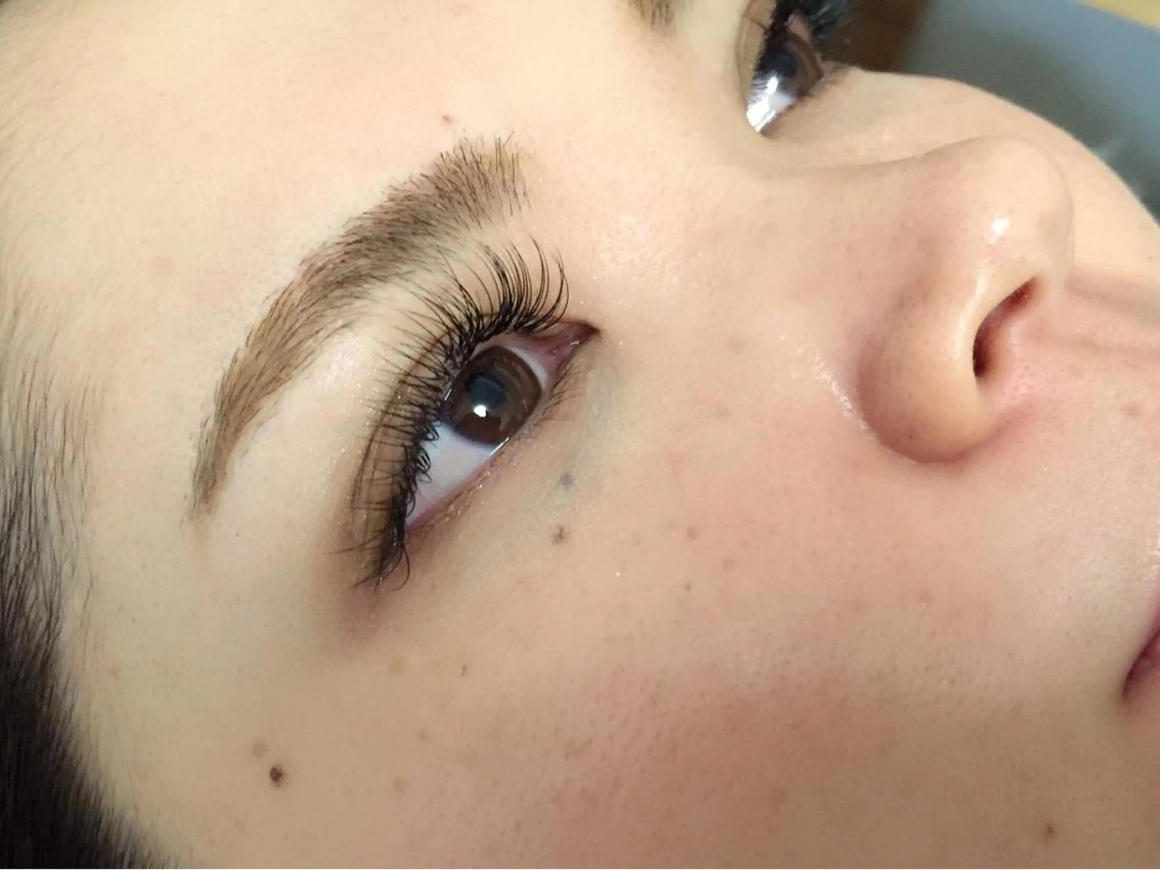 フラットラッシュ　ミニモ限定価格　140本の写真