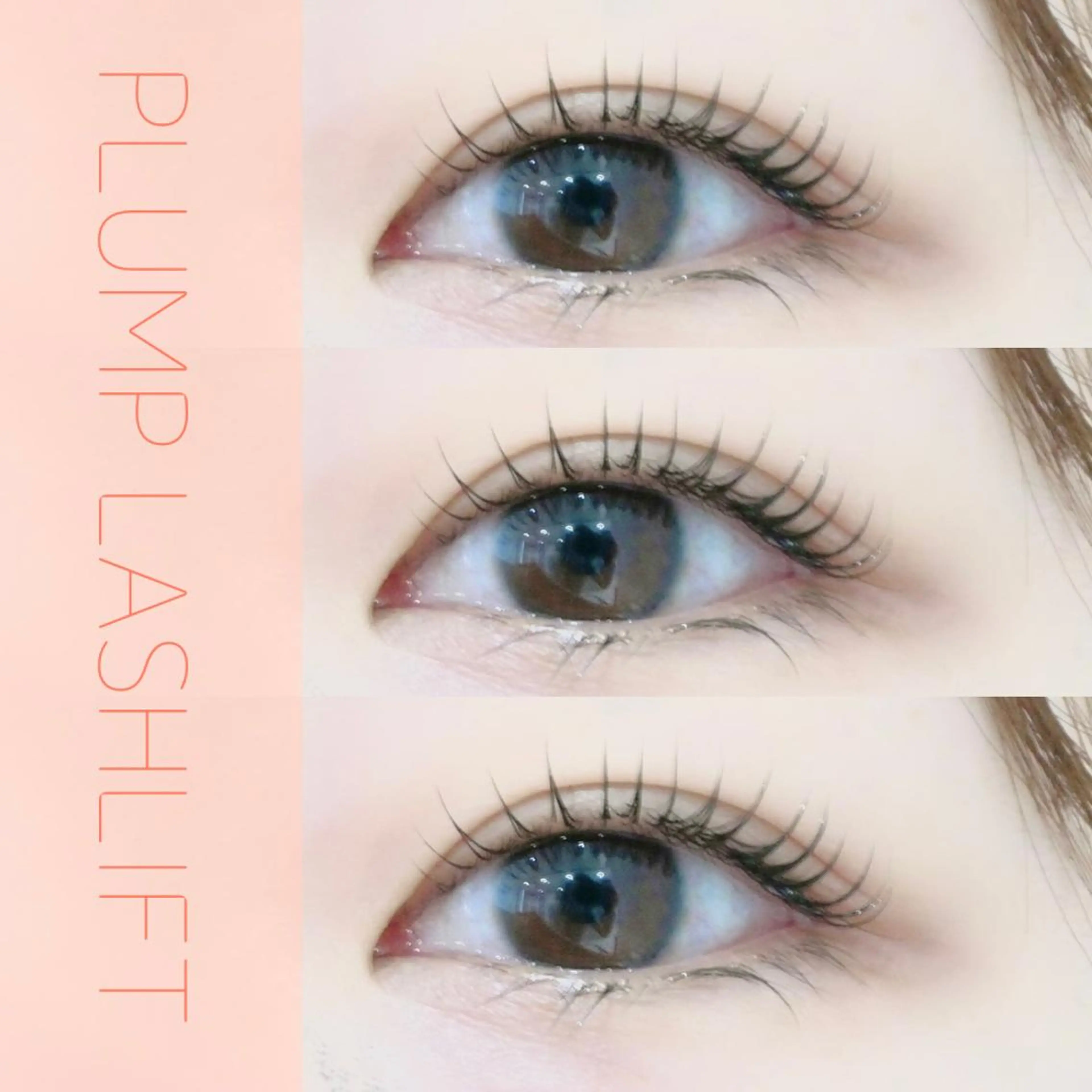 マツエク・マツパ asuka 𖥸 アイブロウ🦊🤎の眉毛・アイブロウイメージ