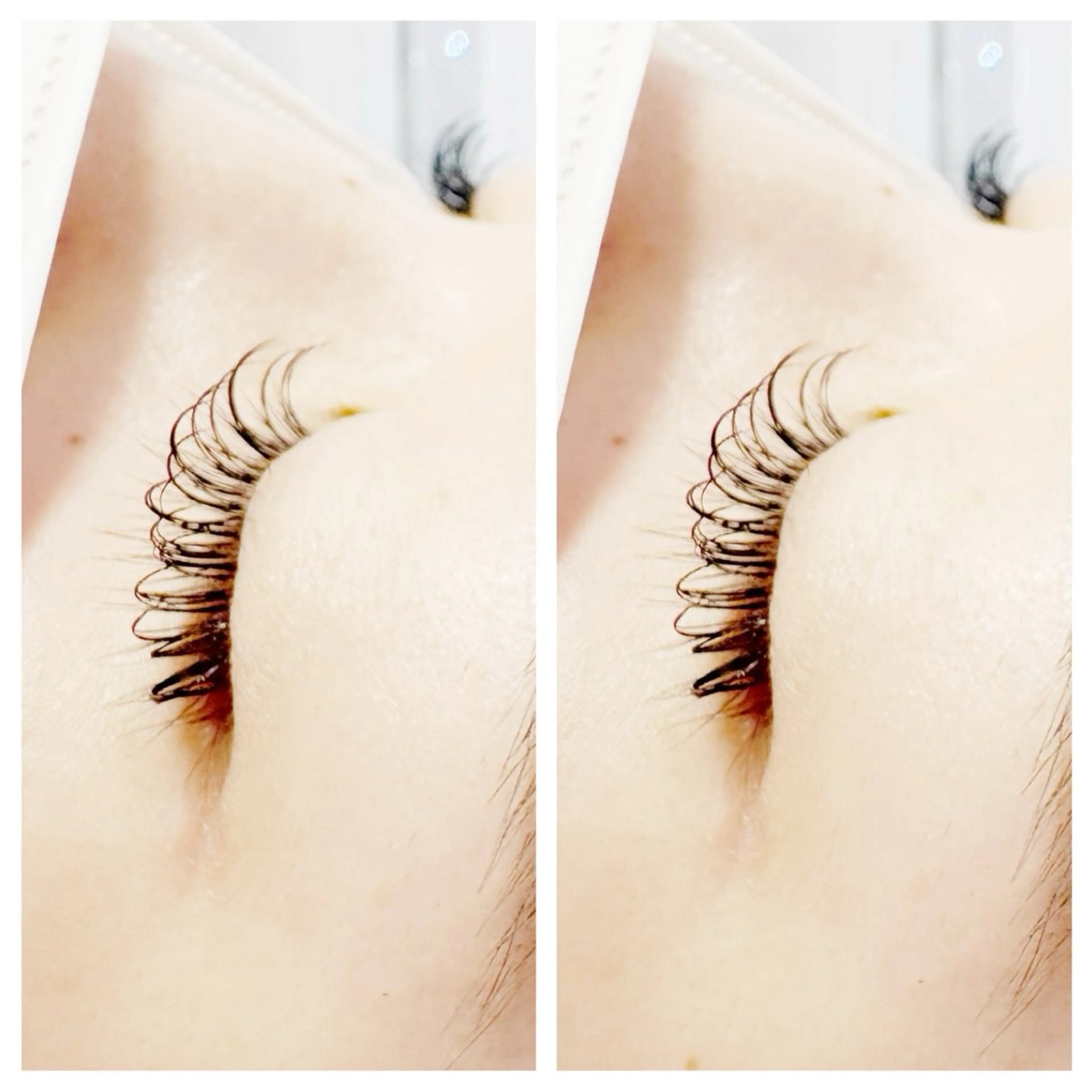 マツエク・マツパ Dカール マツエク plume eyelashのマツエク・マツパデザイン