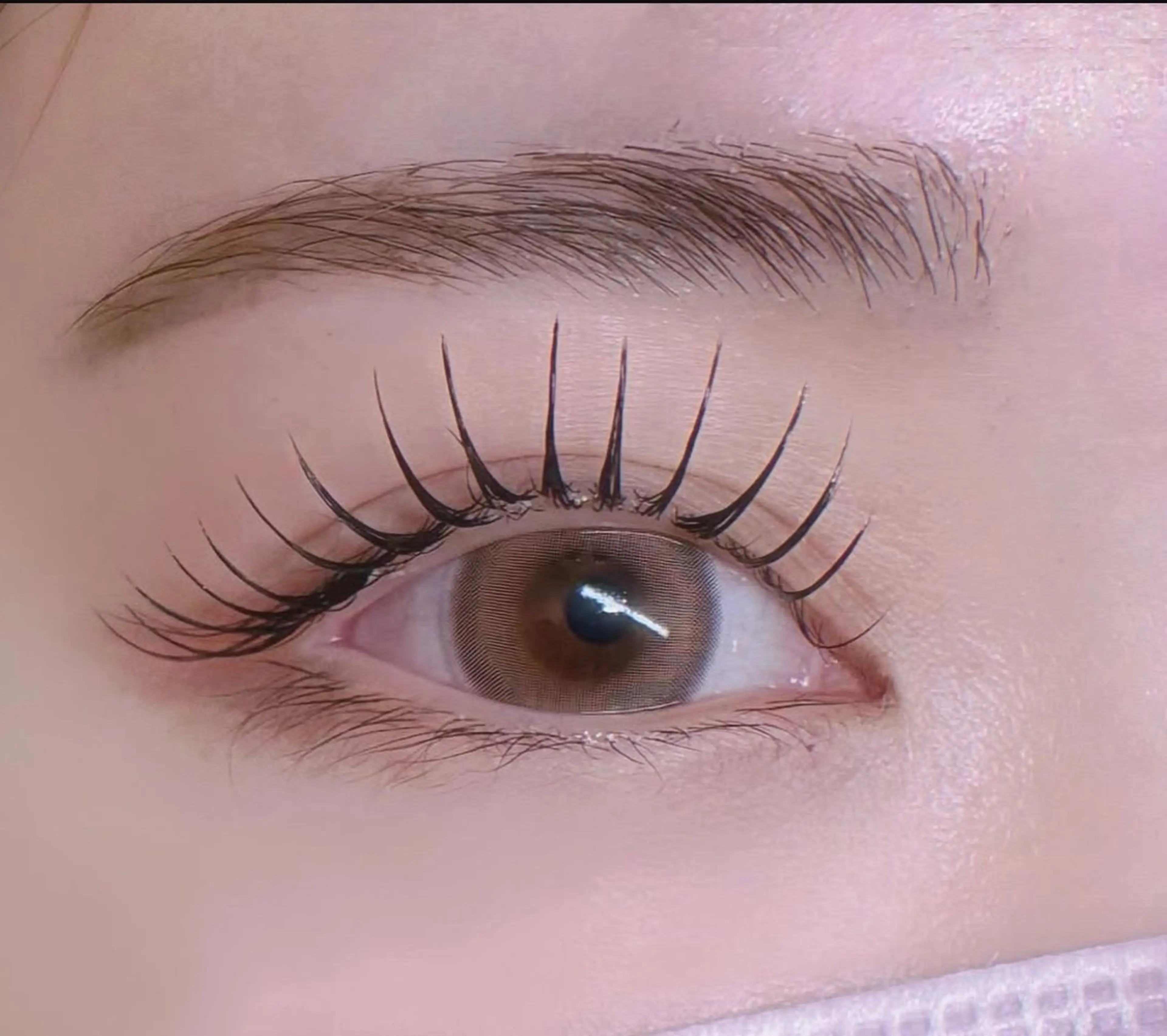 マツエク・マツパ フラットラッシュ マツエク ルチア💞 lucia高田馬場のマツエク・マツパデザイン