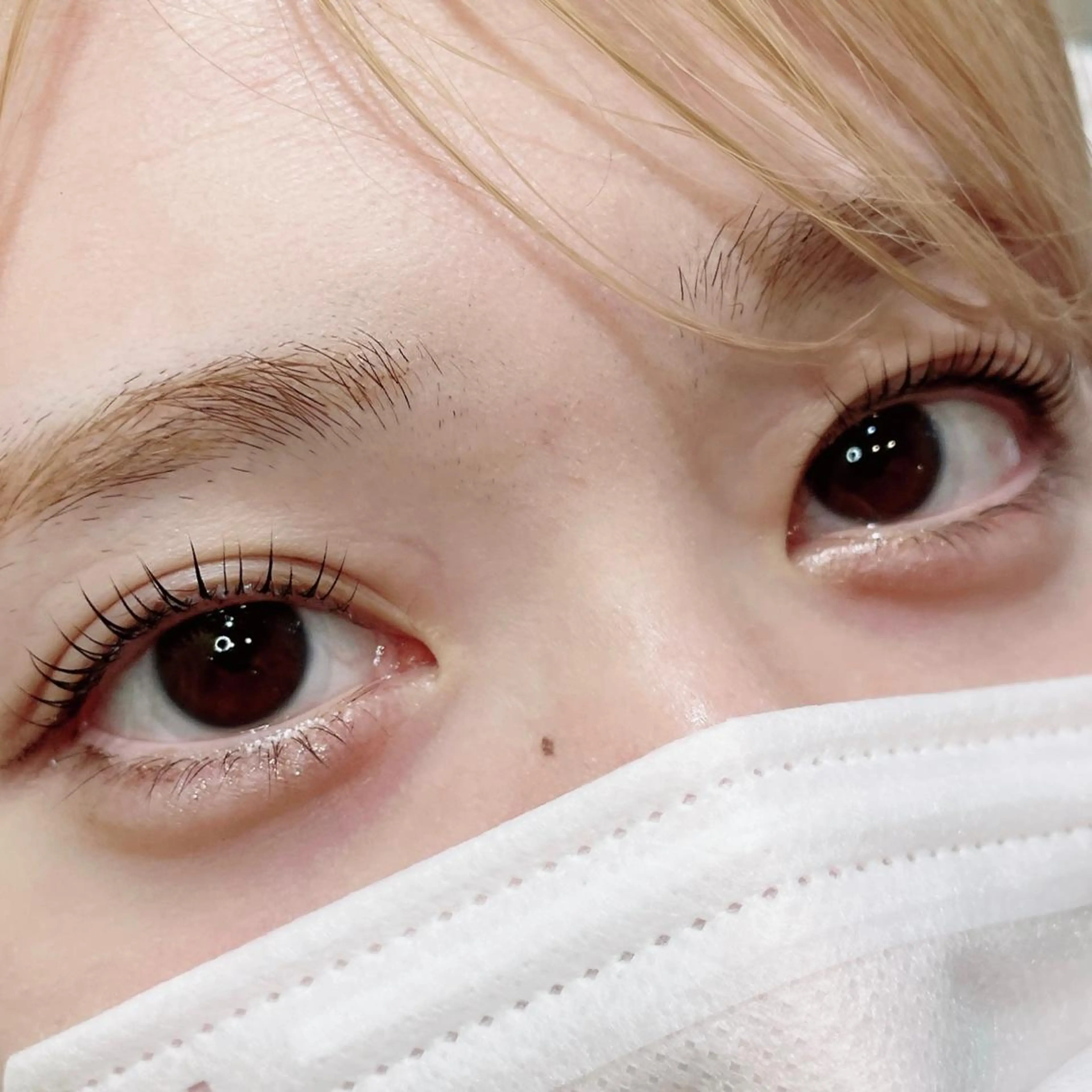 マツエク・マツパ ナチュラル パリジェンヌラッシュリフト 一重×まつ毛パーマ マツパ SEALA 高石の眉毛・アイブロウイメージ