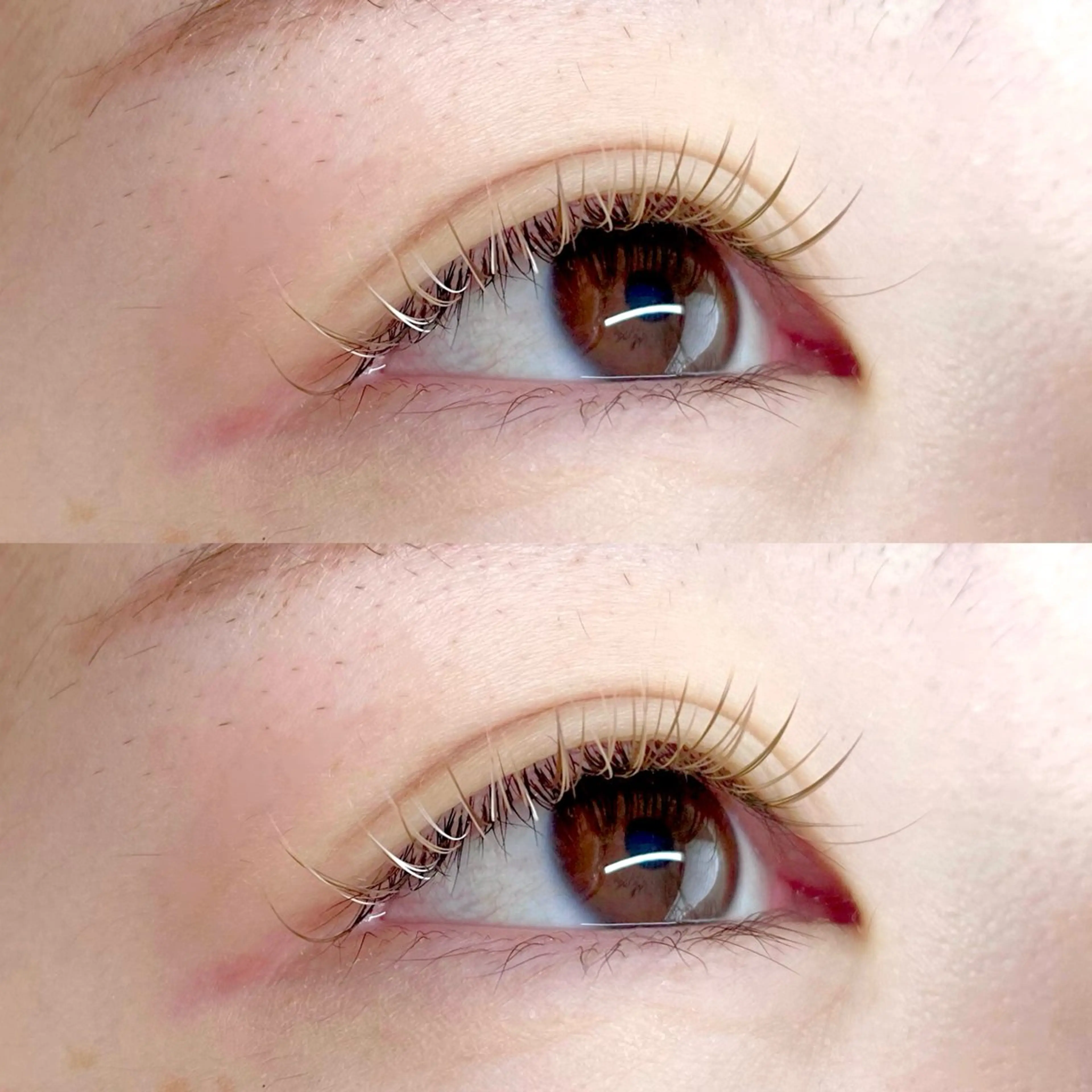 マツエク・マツパ カラーマツエク マツエク fumie .のマツエク・マツパデザイン