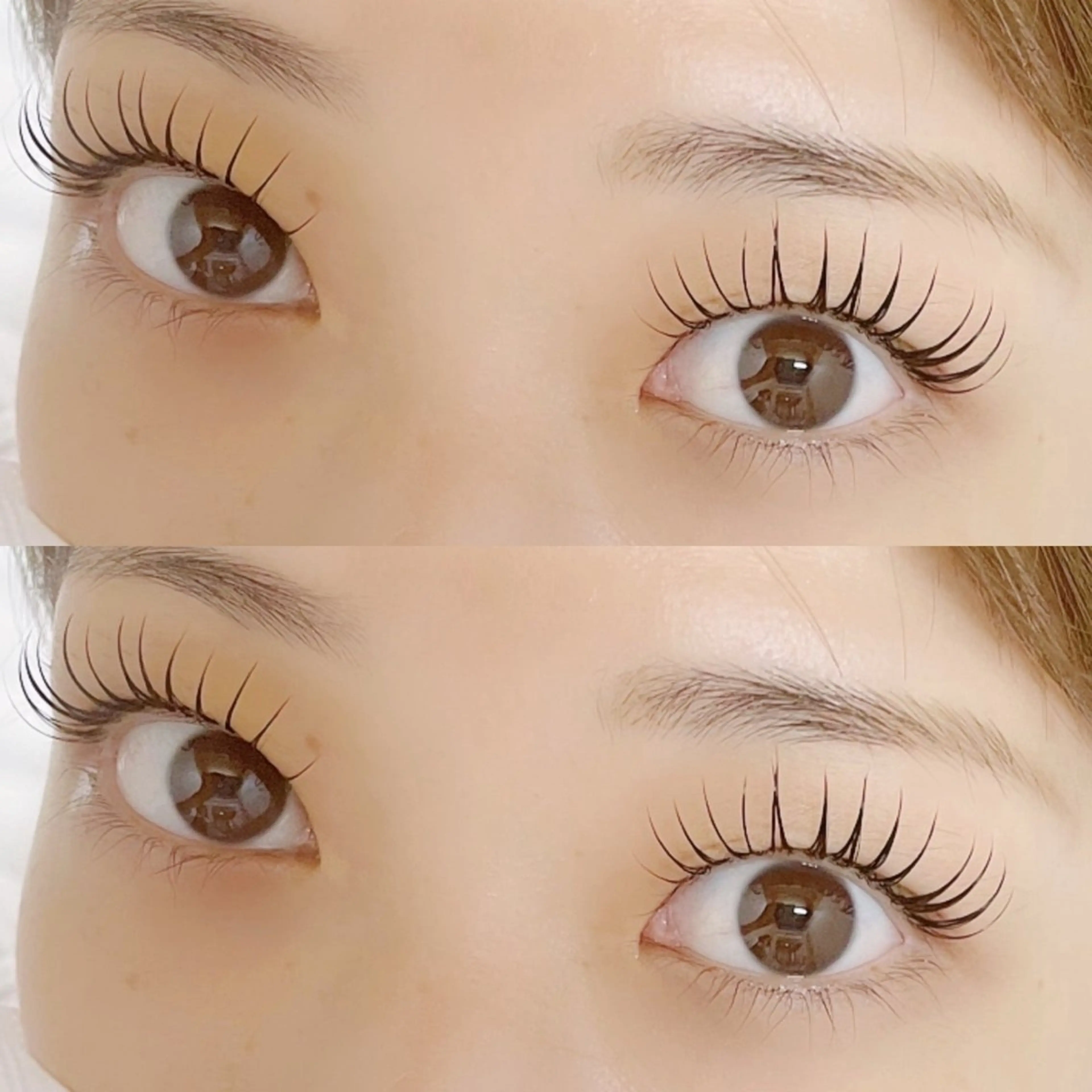 シマーラッシュ（フラットラッシュ120本＋マツパ）の写真