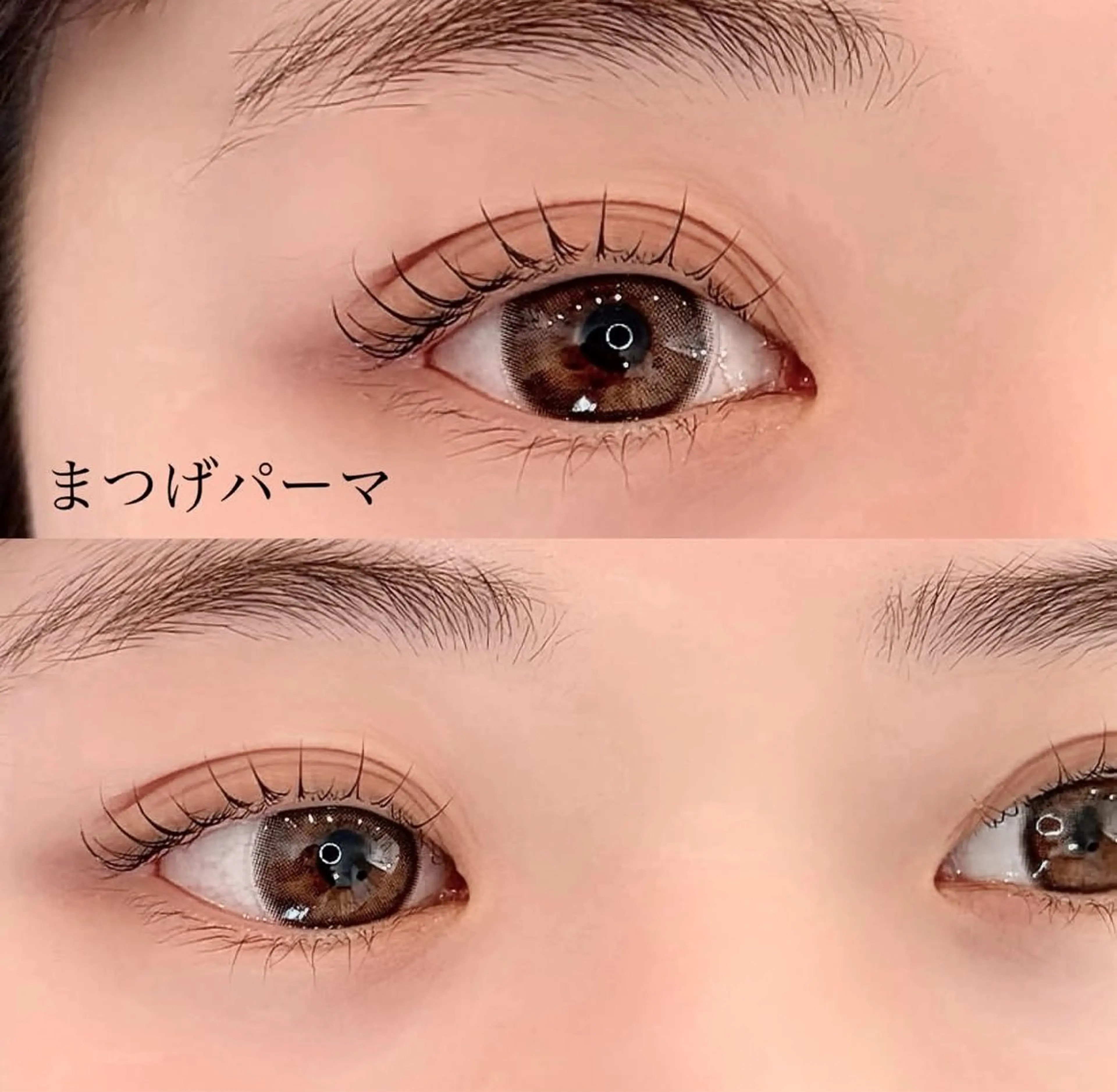 【4･5月限定🍓】 モデル価格🫧うるおいまつげパーマ+高級コーティング  ¥1000   ※5月は料金変動ありますの写真