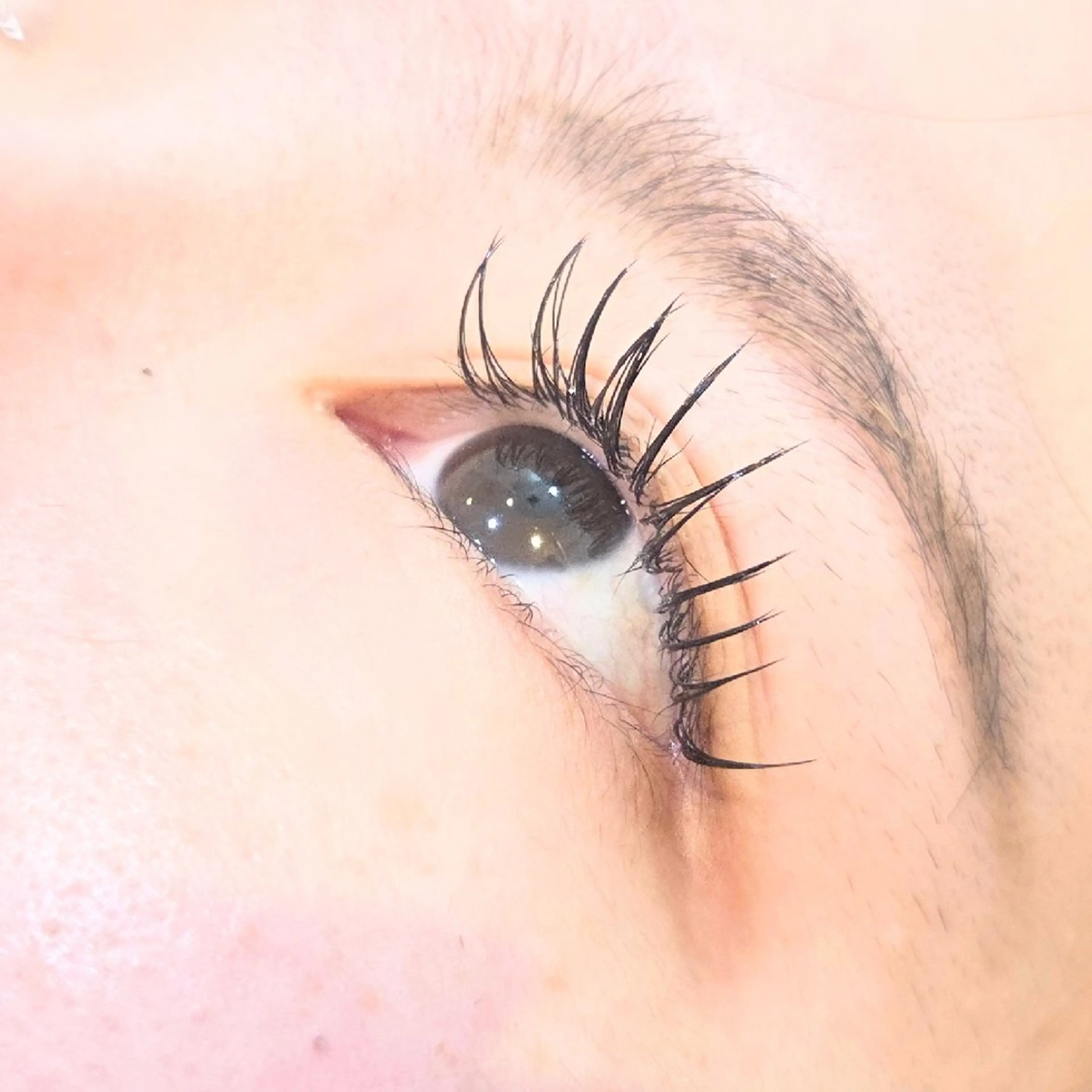 マツエク・マツパ フラットラッシュ kanau 🎀マツエクのマツエク・マツパデザイン