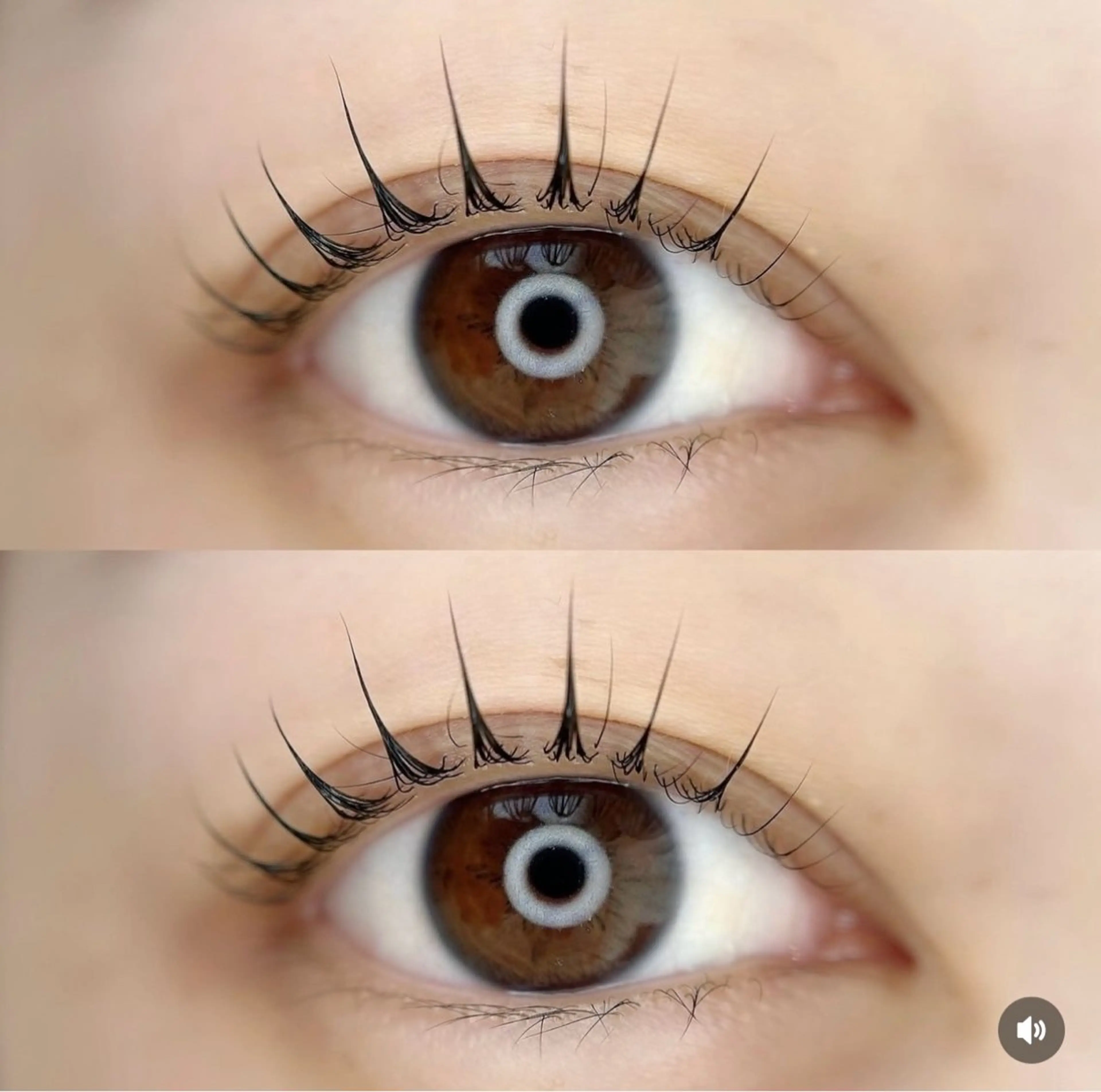 本日4/12    11:30/13:30~15:00限定⭐️韓国風まつ毛パーマ➕コーティング付き✨️の写真