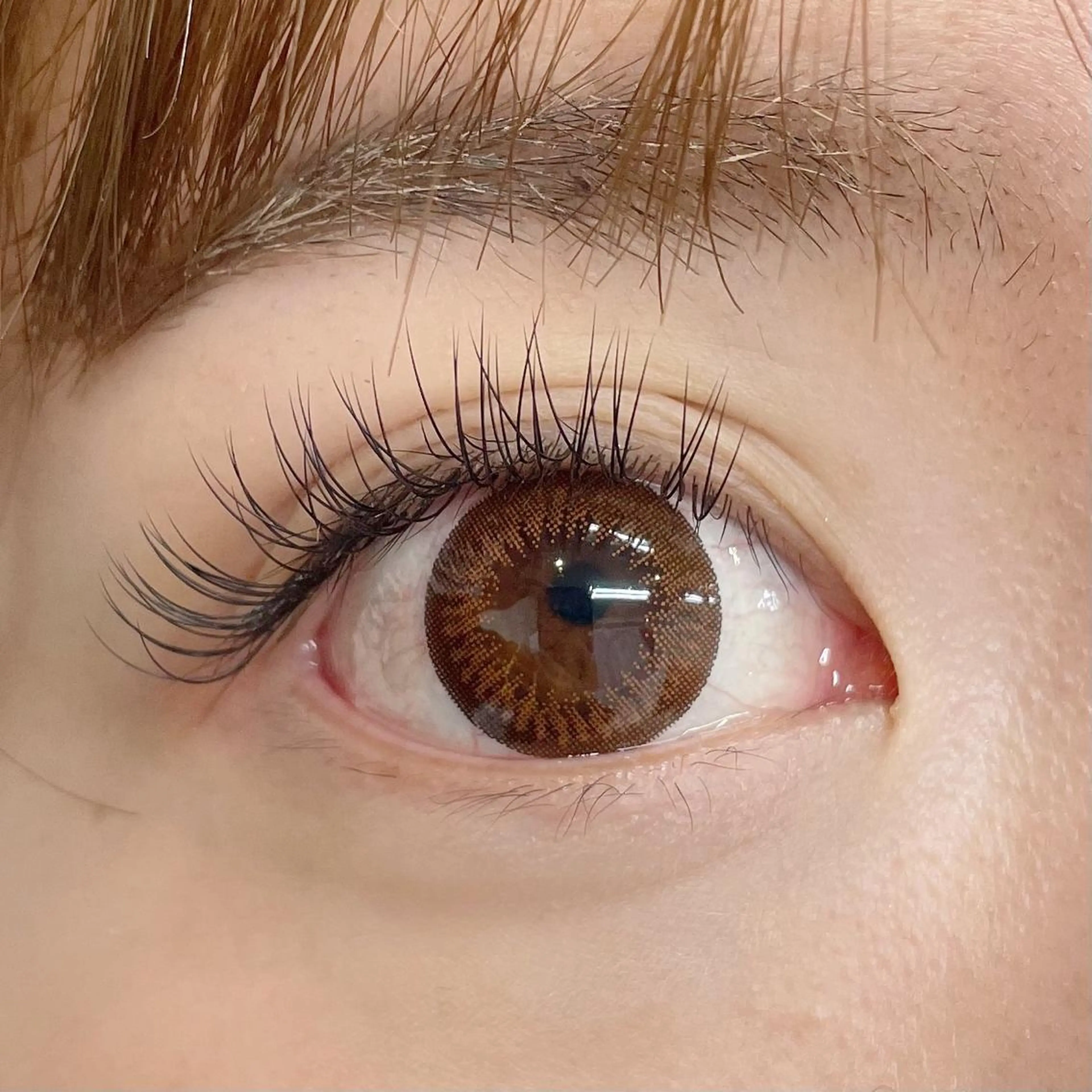 マツエク・マツパ Cカール ナチュラル セーブル yuzuka ❤︎のマツエク・マツパデザイン