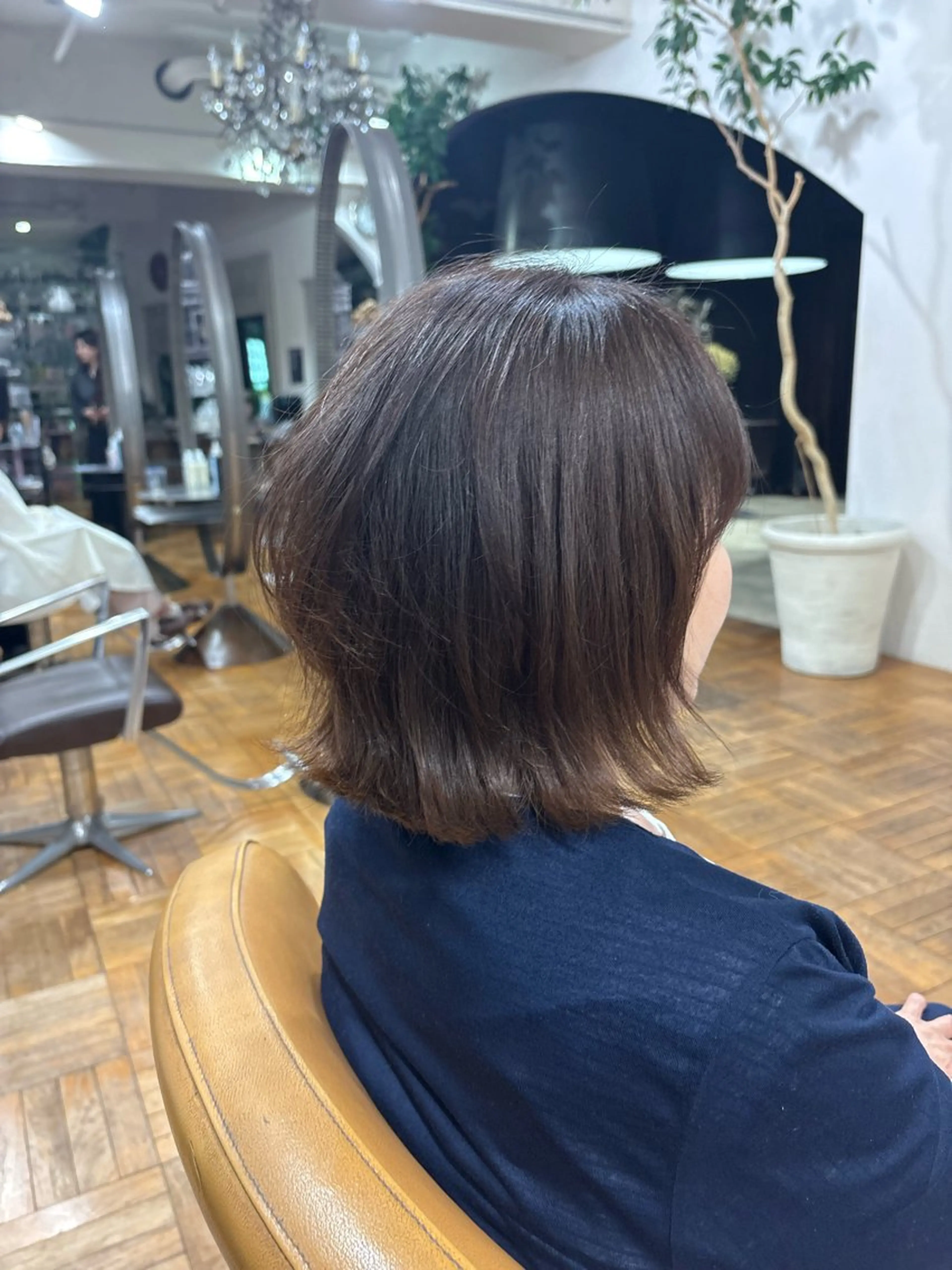 ボブカット（期間限定メニュー✨️）の写真