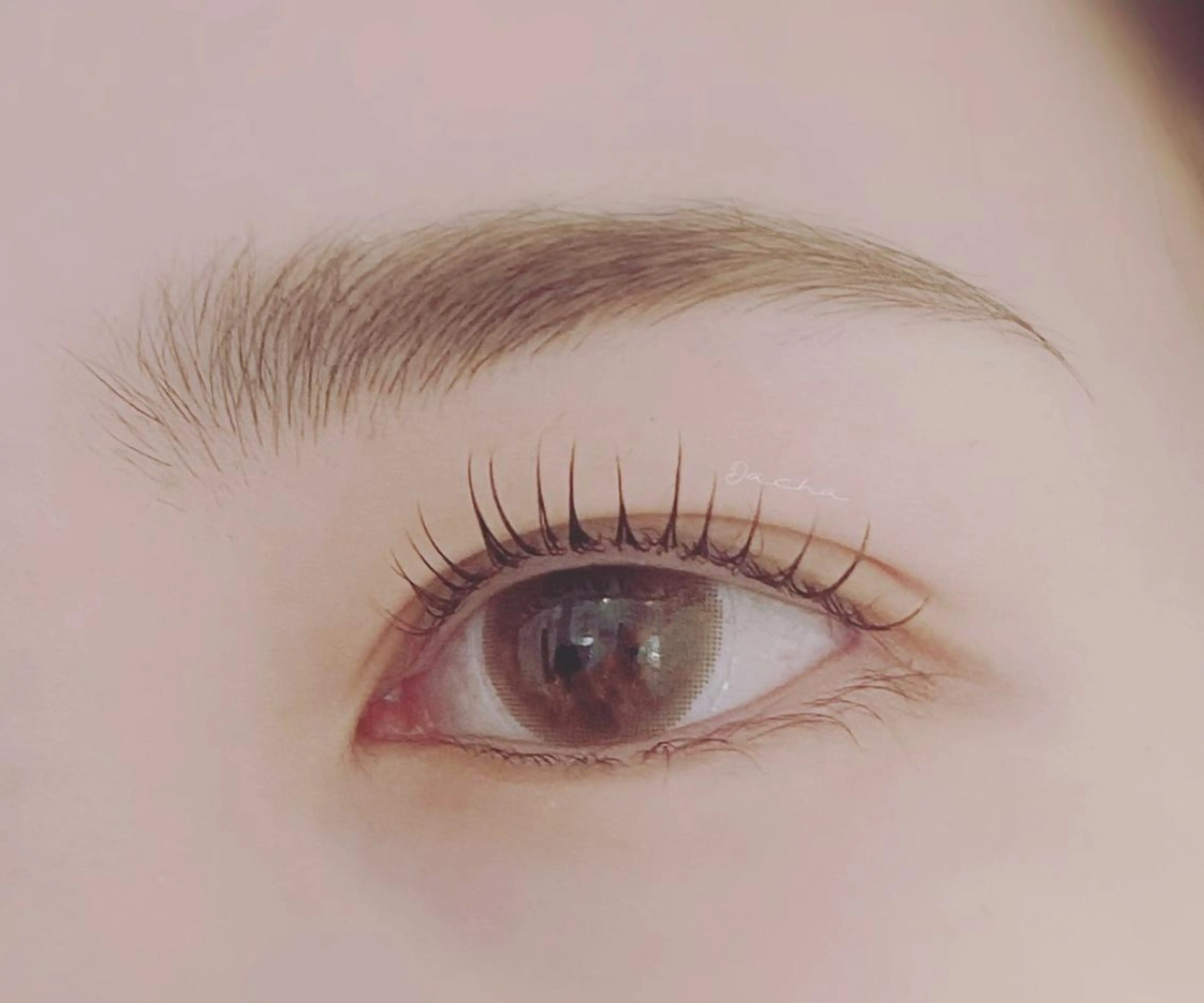 マツエク・マツパ まつ毛の悩み解消 Dacha吉岡の眉毛・アイブロウイメージ