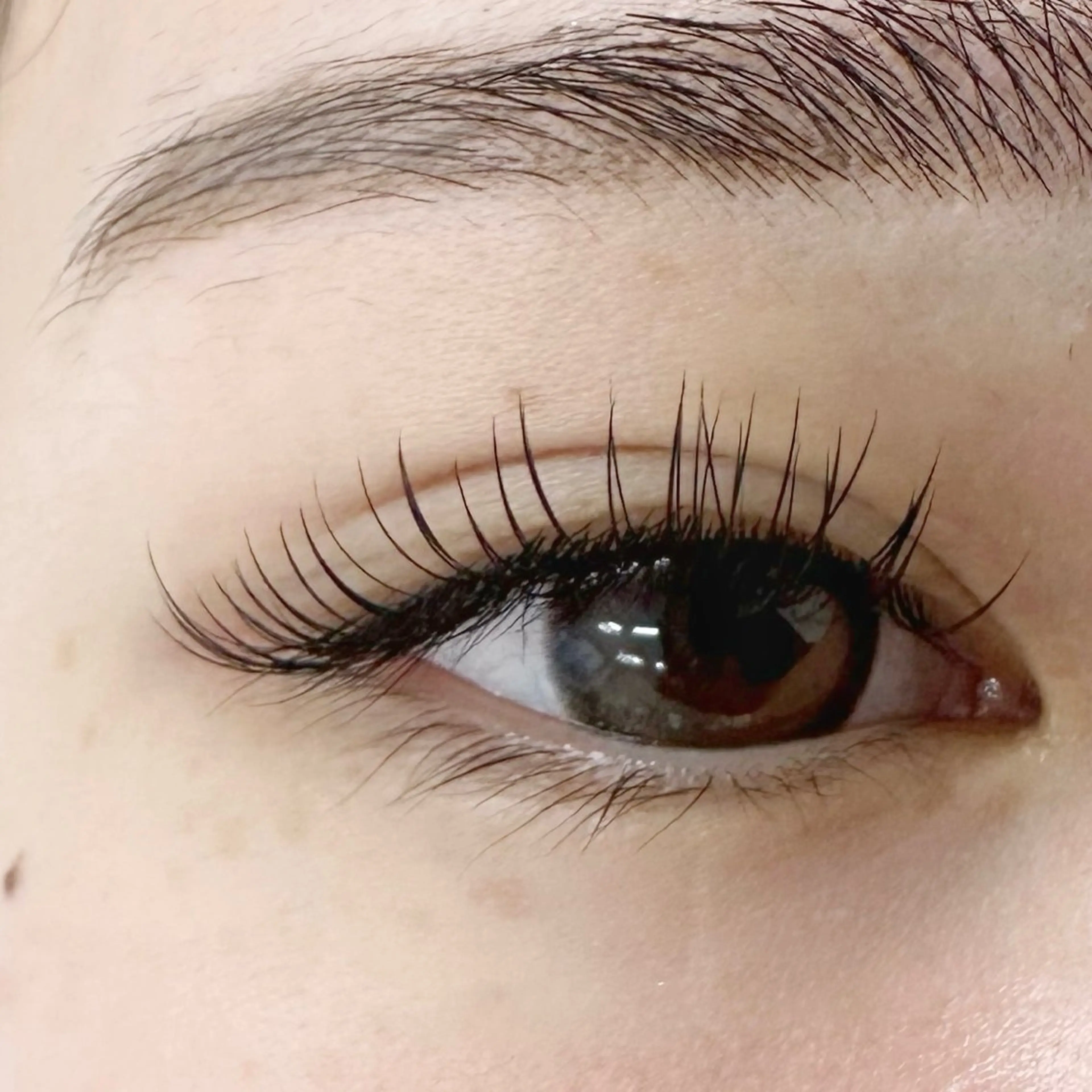 マツエク・マツパ フラットラッシュ utari matsugeのマツエク・マツパデザイン