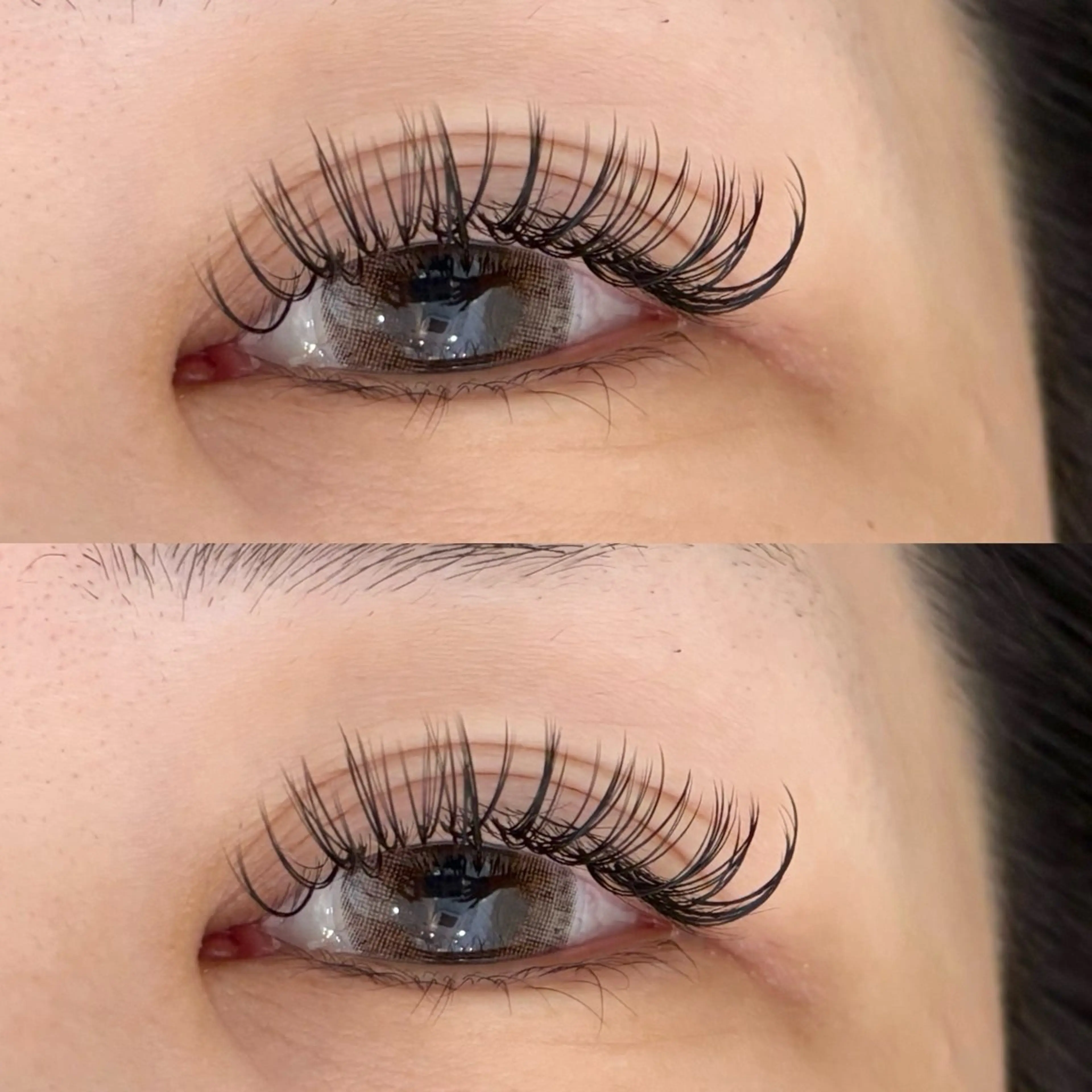 バインドロック80束の写真