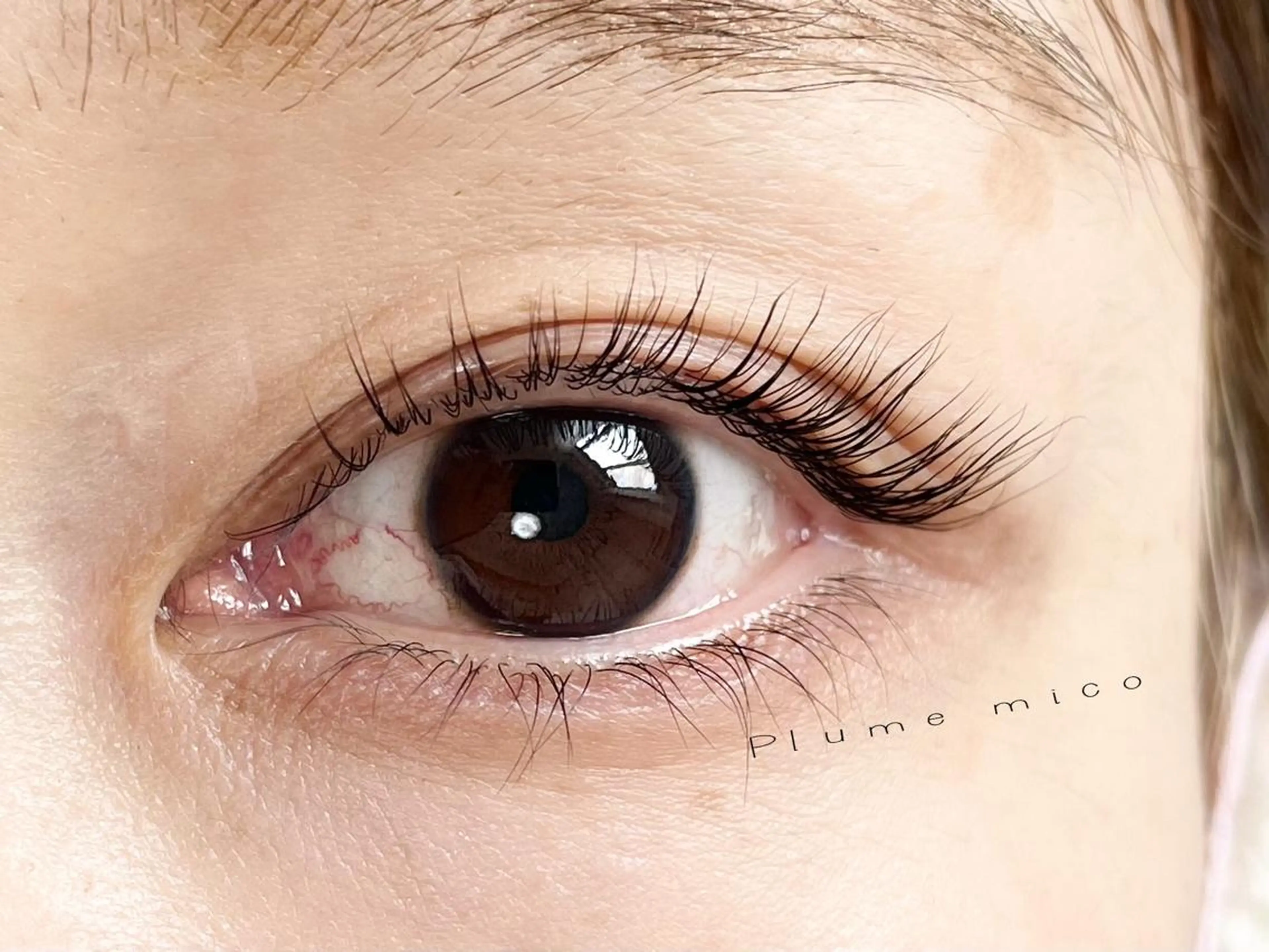 マツエク・マツパ マツパ Plume micoのマツエク・マツパデザイン