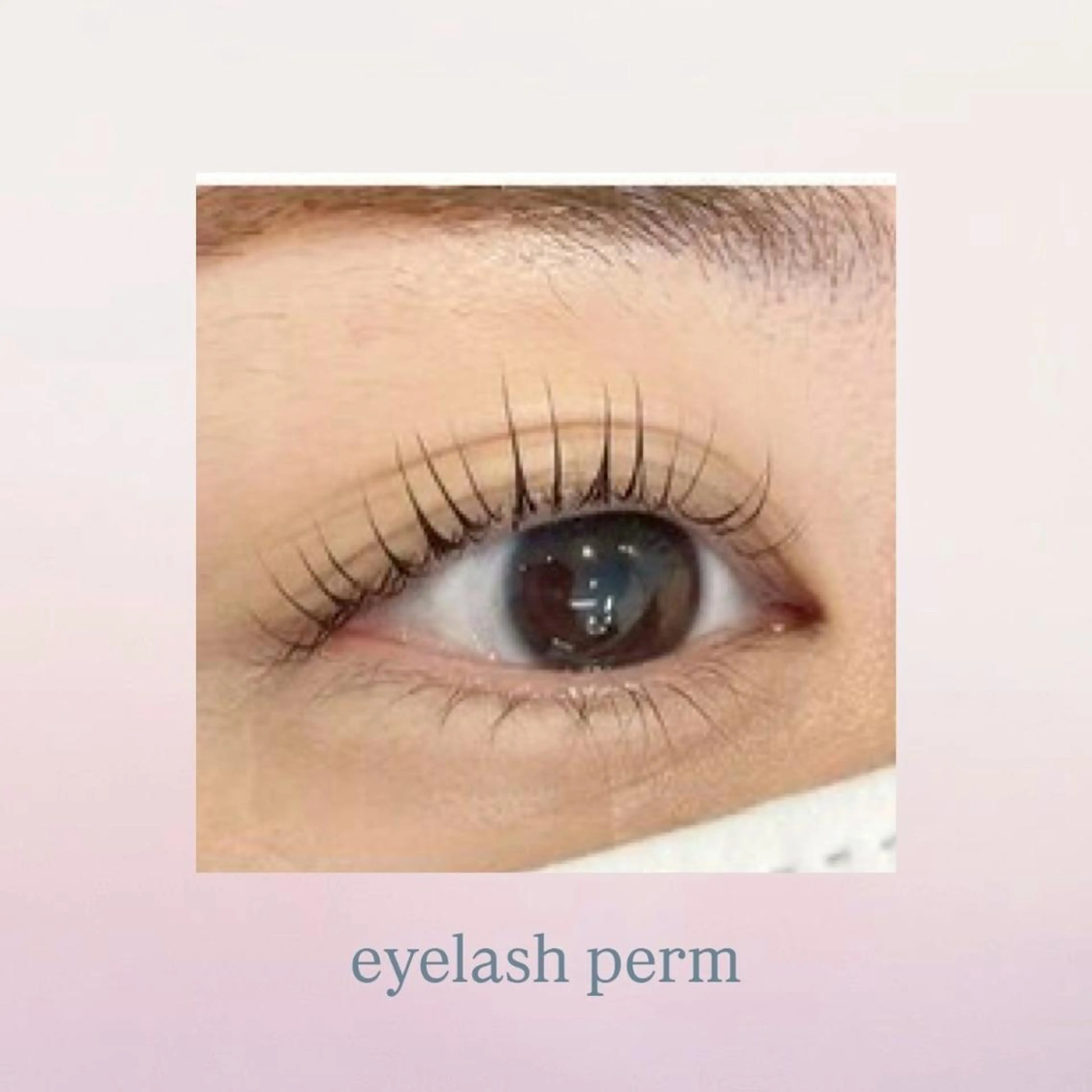 マツエク・マツパ 🌈メノア 茨木店🌈✨のマツエク・マツパデザイン