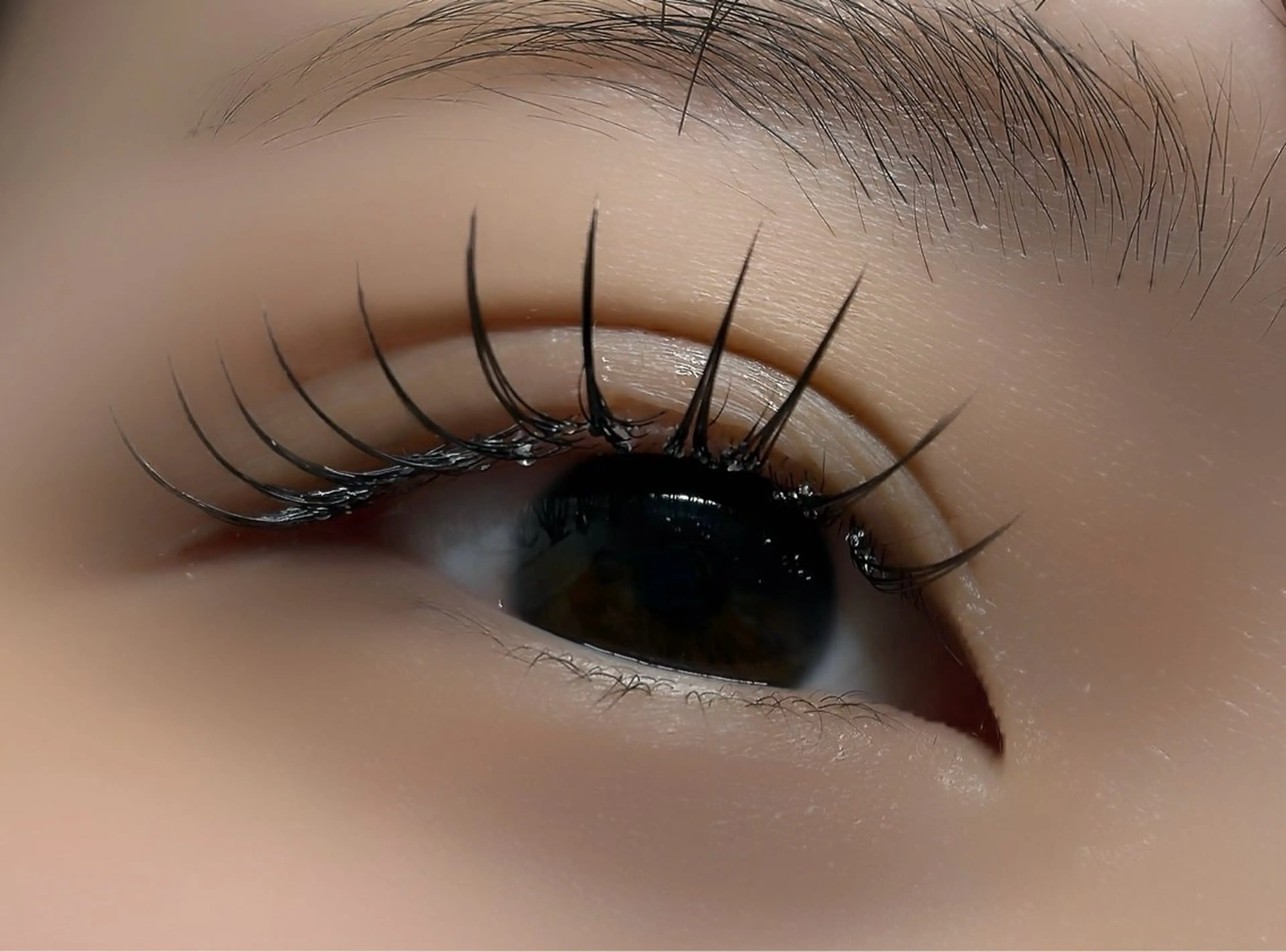 マツエク・マツパ フラットラッシュ マツエク ルチア💞 lucia高田馬場のマツエク・マツパデザイン