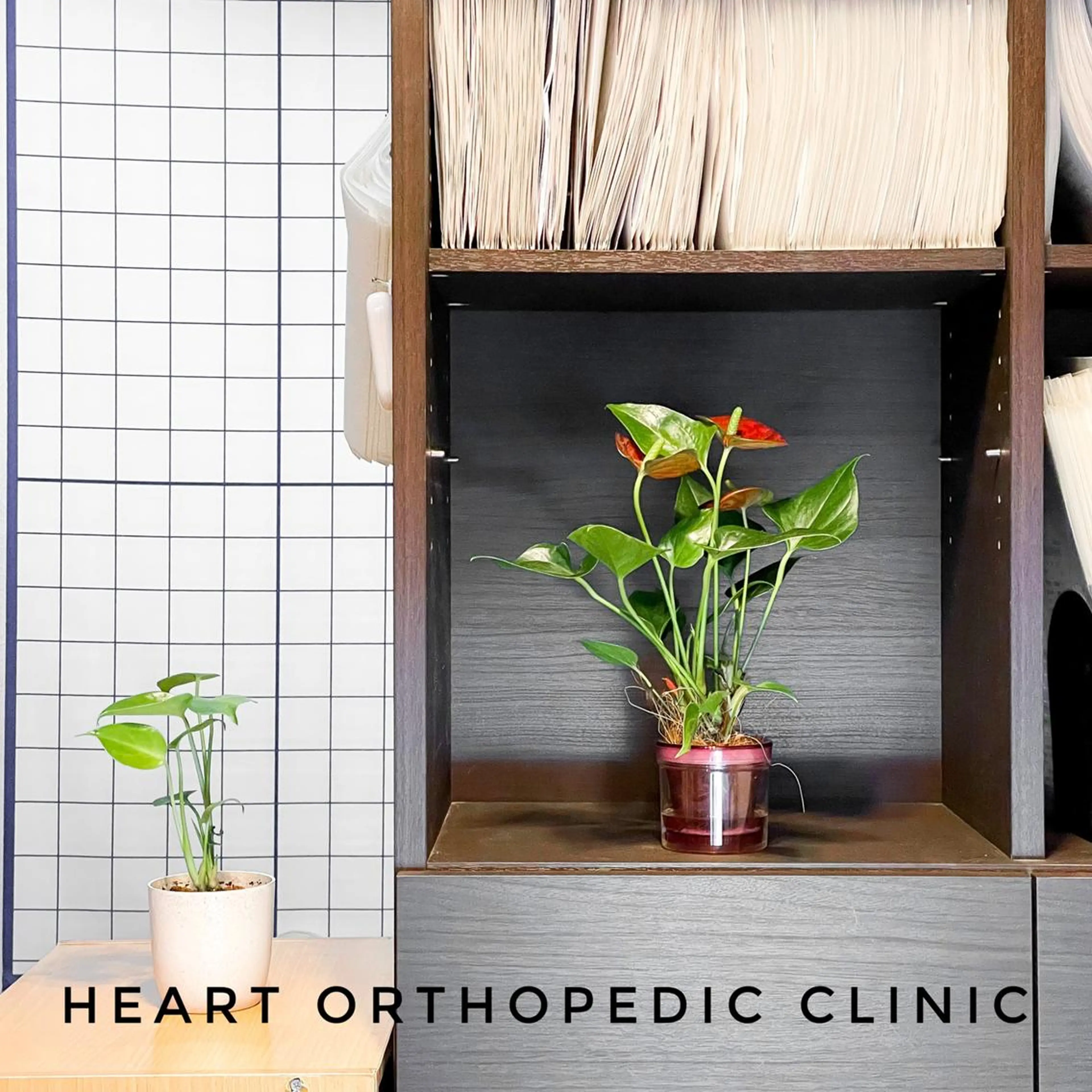 お顔のむくみたるみ 専門☆美容鍼小顔矯正のエステ・リラクイメージ