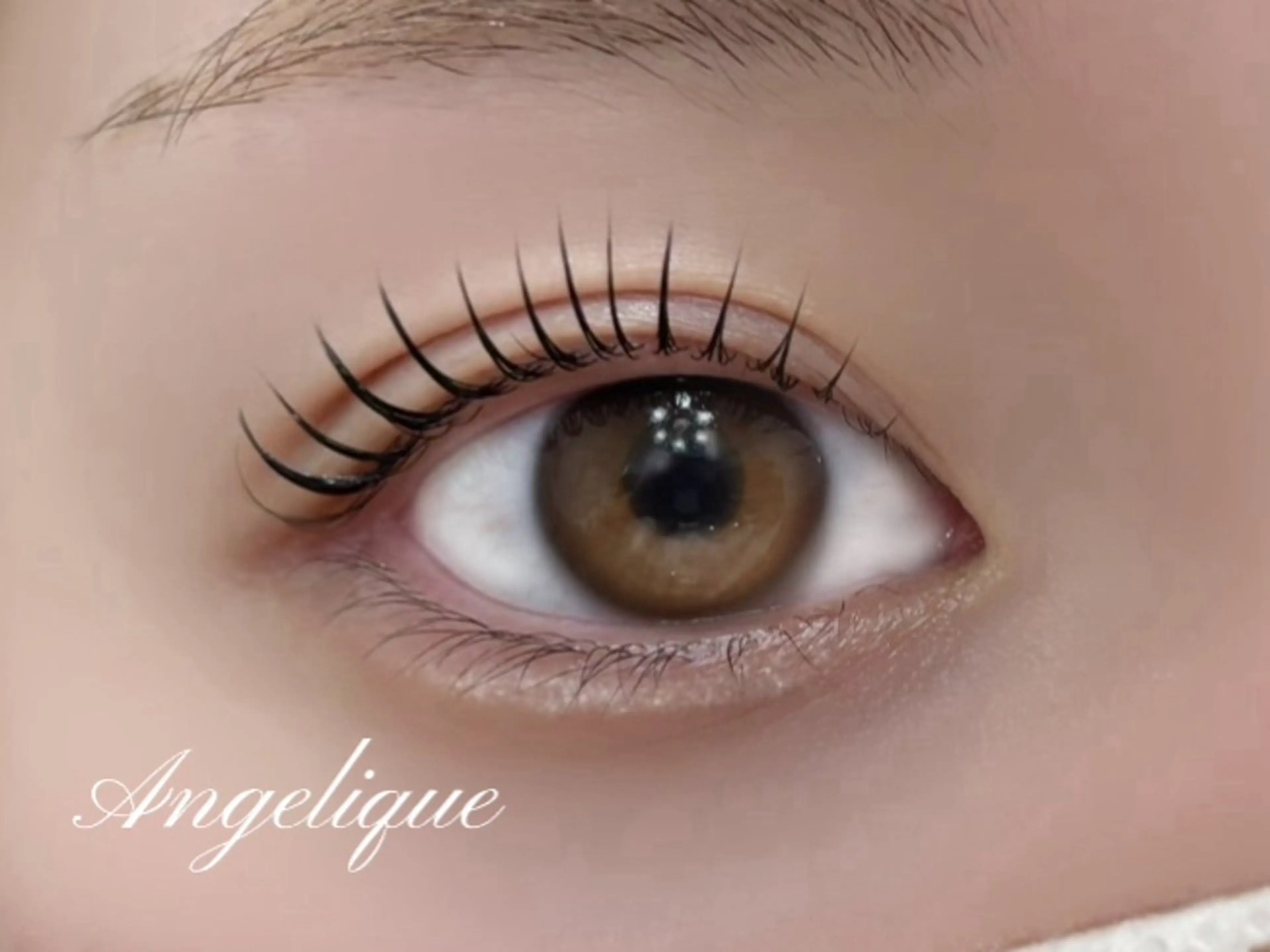 【❤️‍🔥新規限定❤️‍🔥】ラッシュリフトカール￥4400の写真