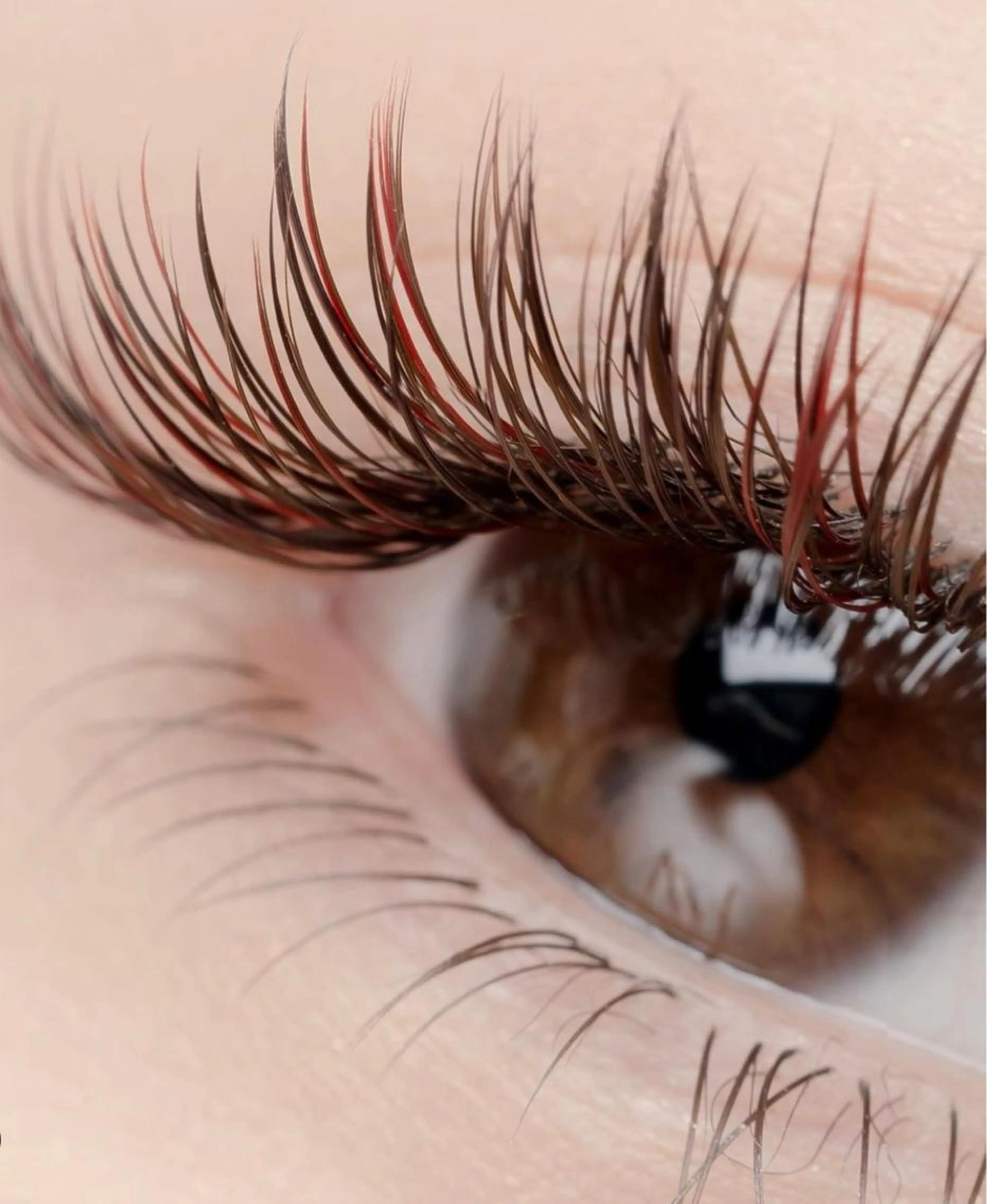 🍁【秋冬限定】フラットラッシュBrown Color120本🍁の写真