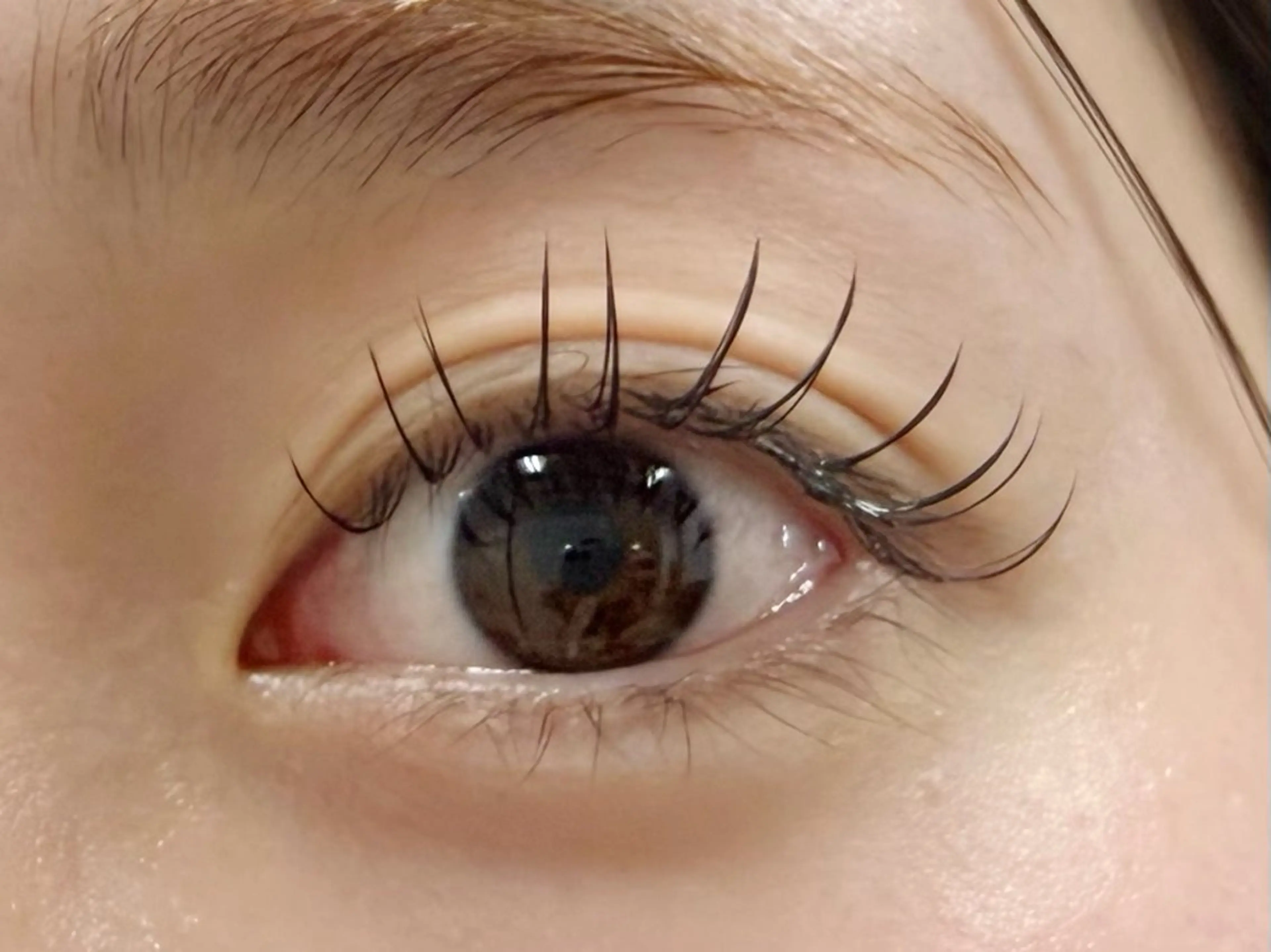 【⚠️4月14日1名急募】エクステモデル様【14時30分限定🩷】BANHADA高級フラットラッシュ120本前後☺️の写真