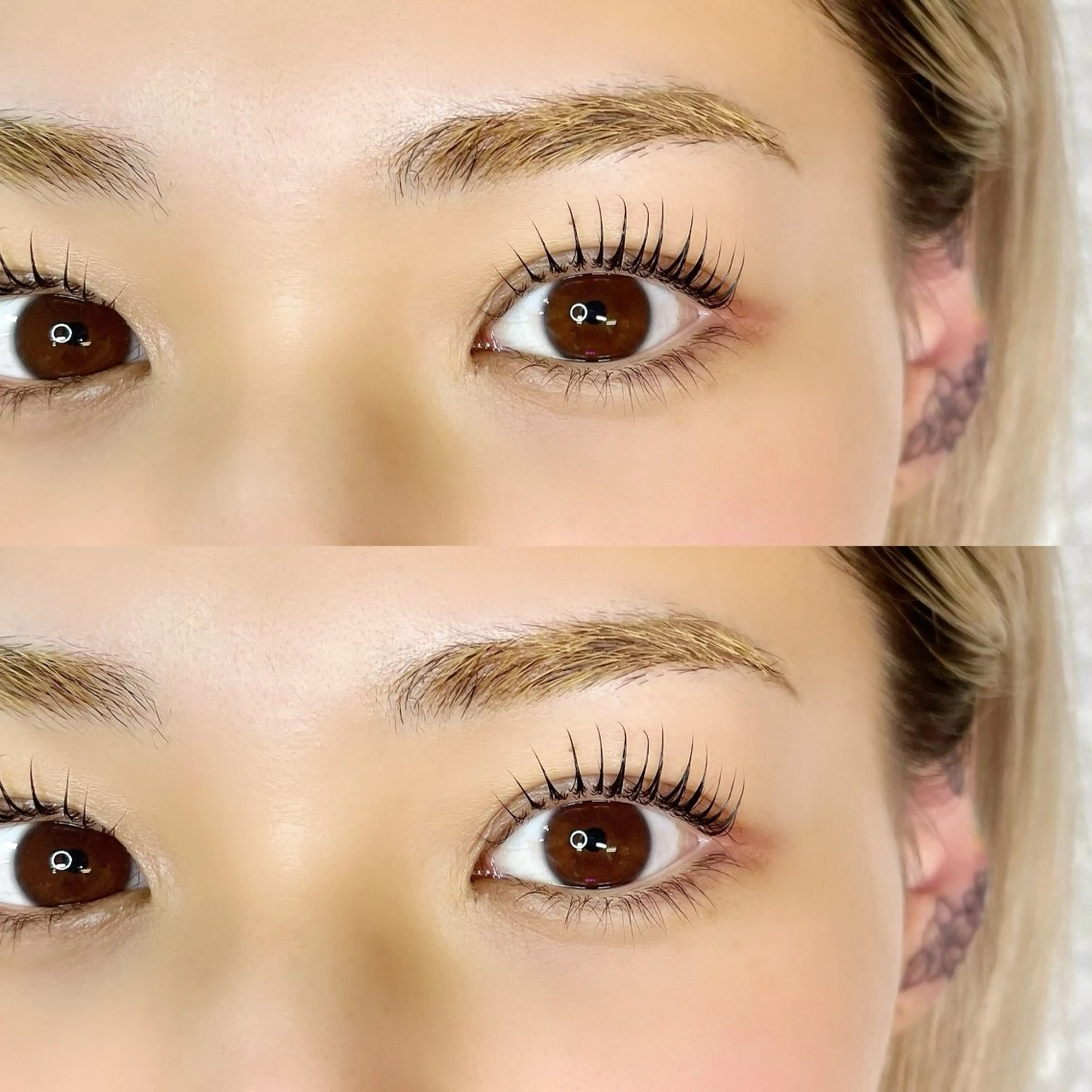 マツエク・マツパ REBOND K モデル募集のマツエク・マツパデザイン