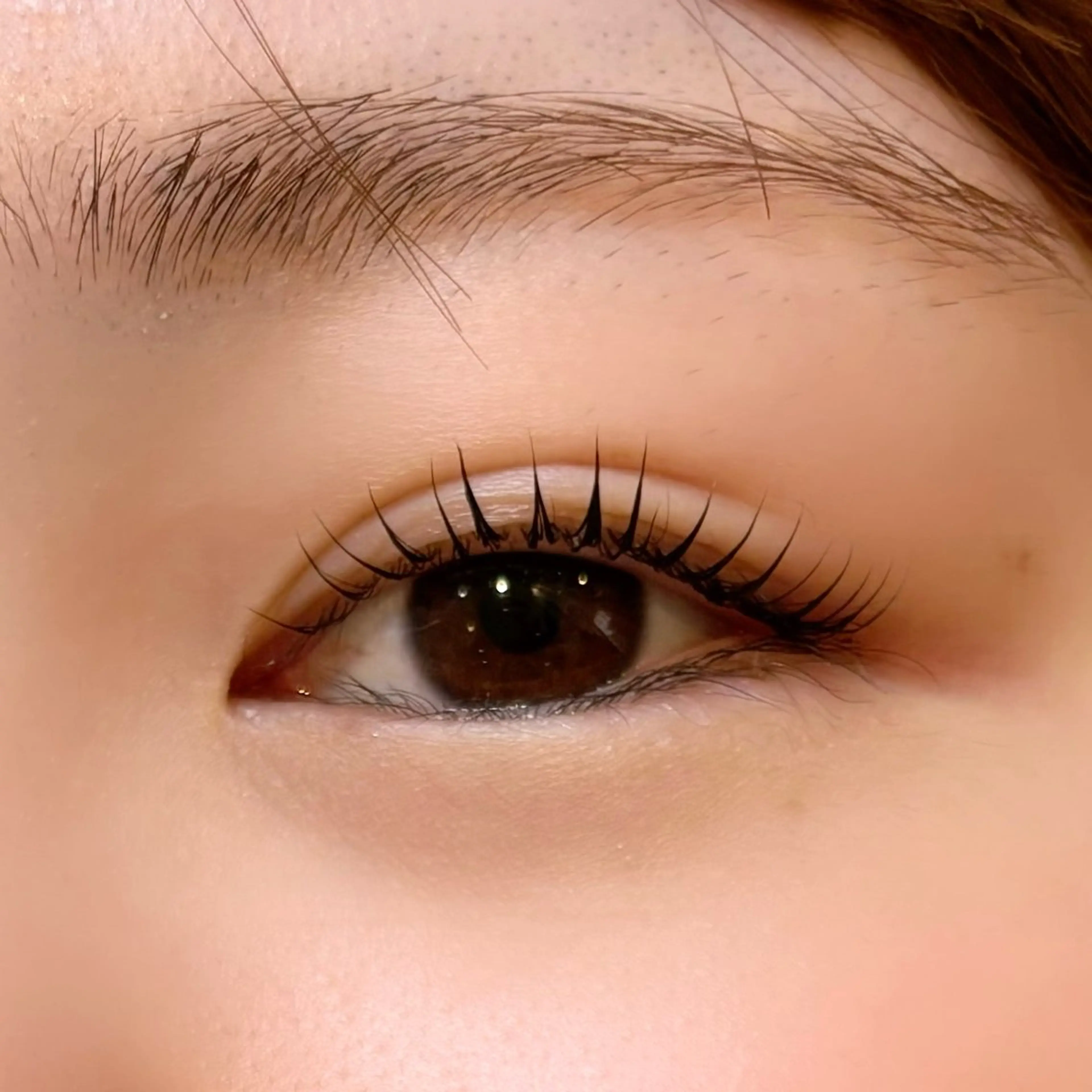 マツエク・マツパ マツパ eyelash LOOPのマツエク・マツパデザイン