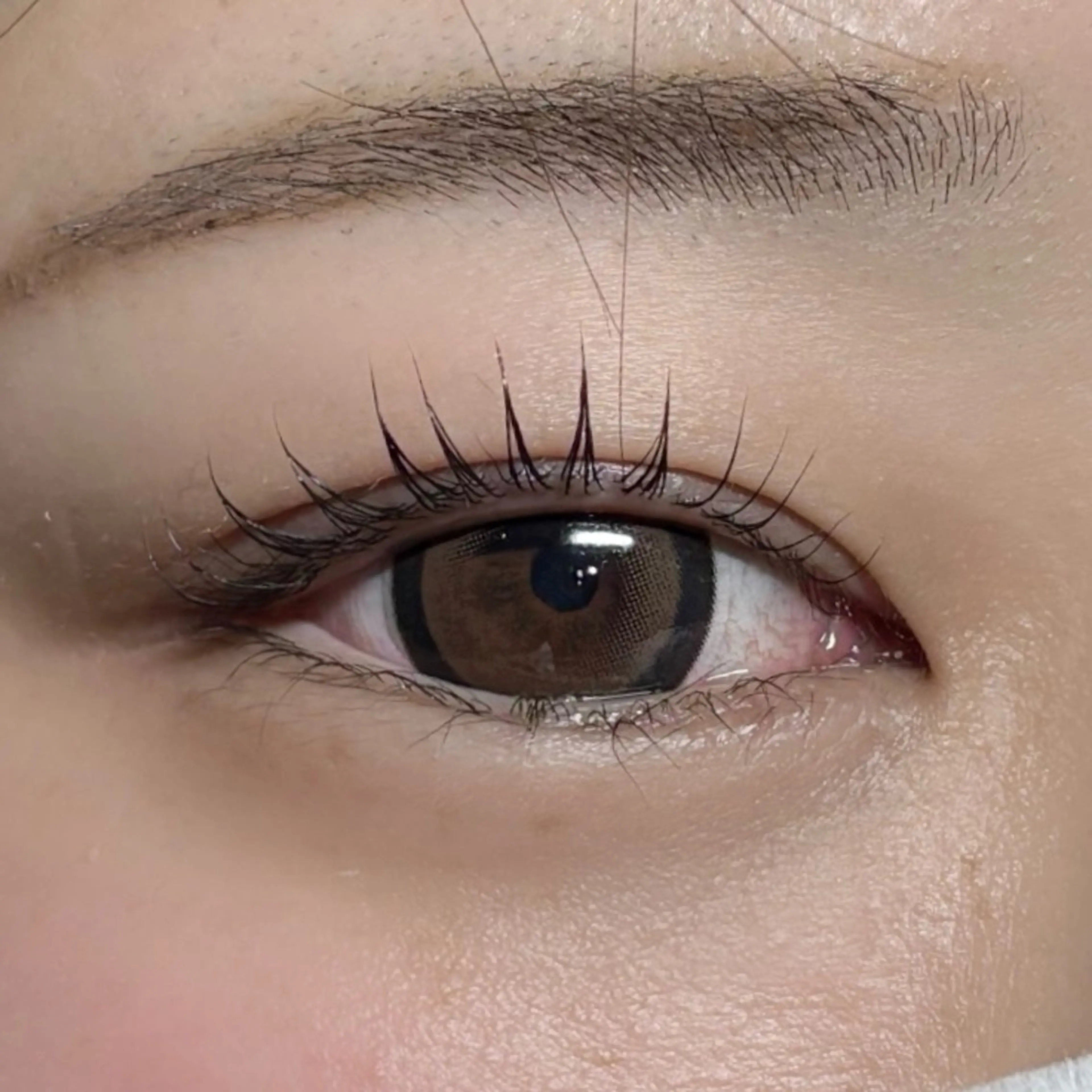 マツエク・マツパ ナチュラル まつげパーマ kurumi / Daisy Lashのマツエク・マツパデザイン