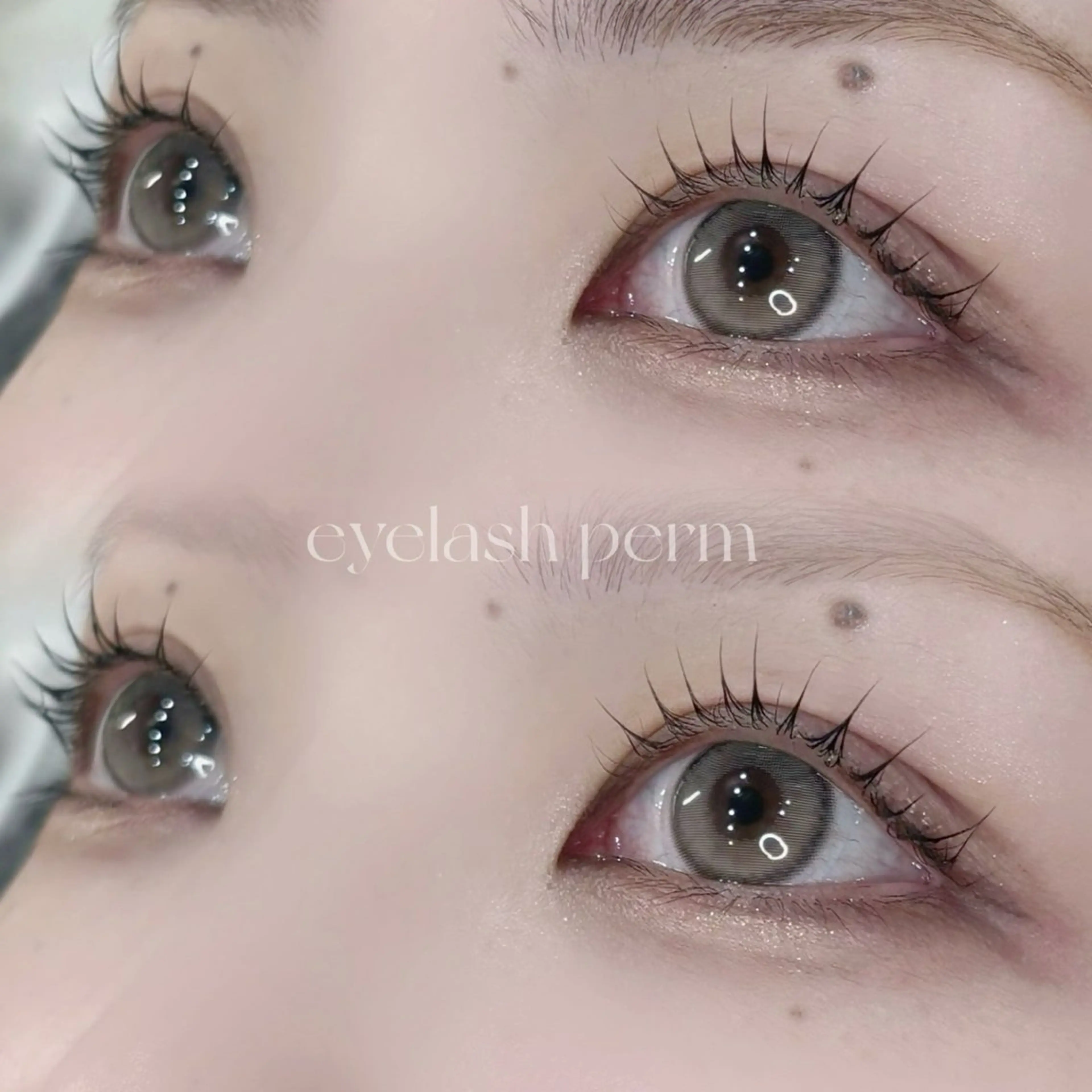 マツエク・マツパ Kairi カイリの眉毛・アイブロウイメージ