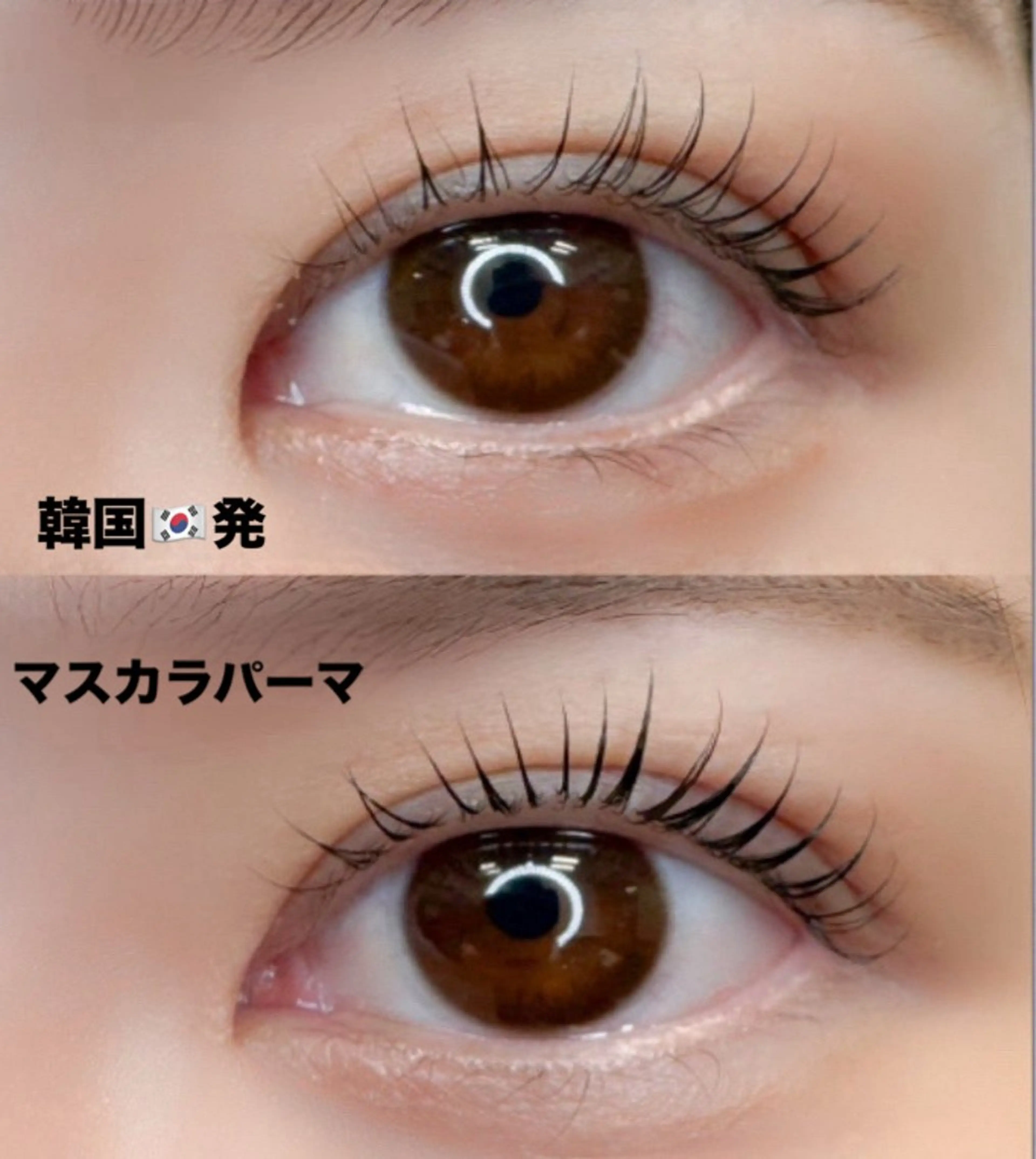 マスカラパーマの写真