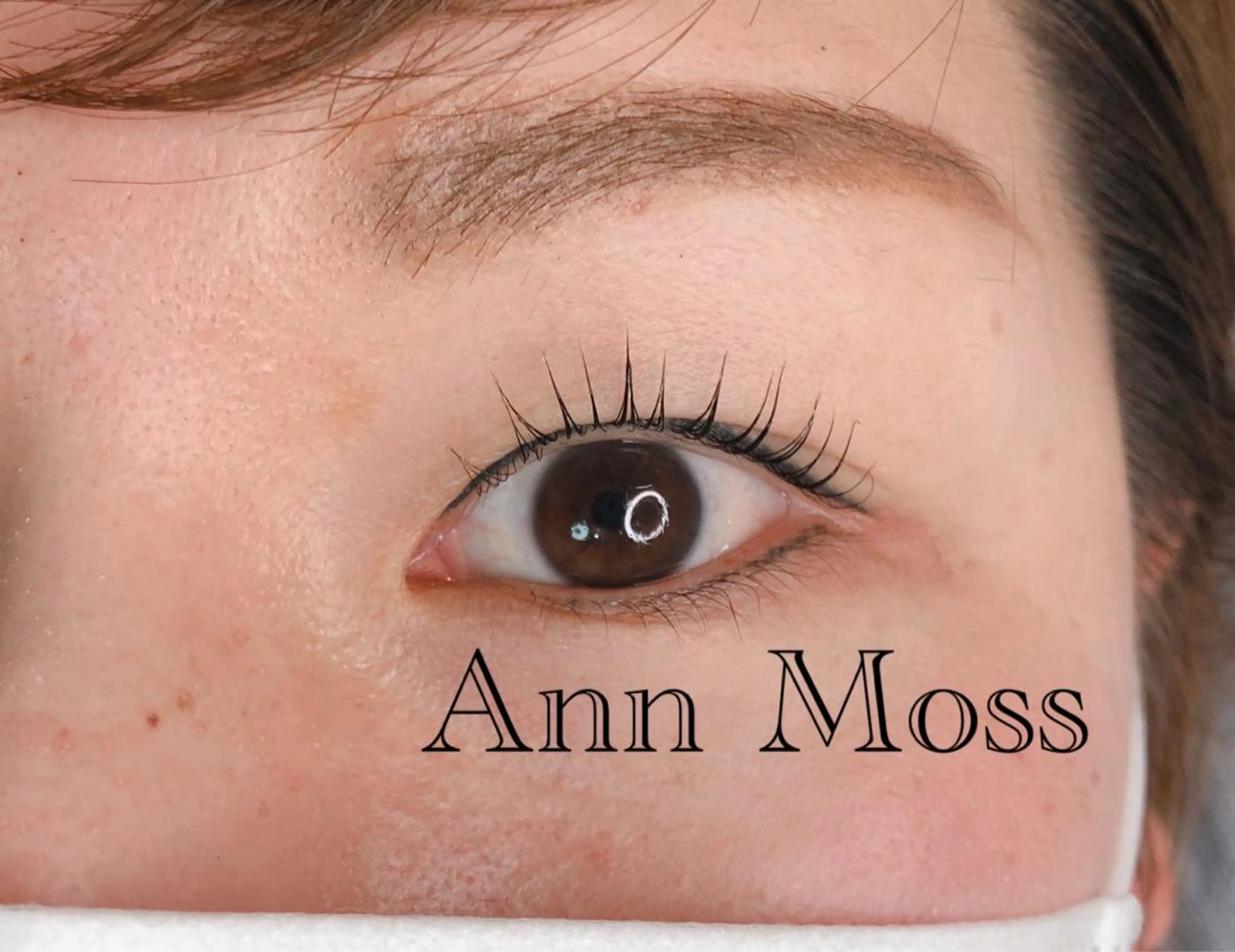 マツエク・マツパ 無料モデル募集中 Ann Mossのマツエク・マツパデザイン