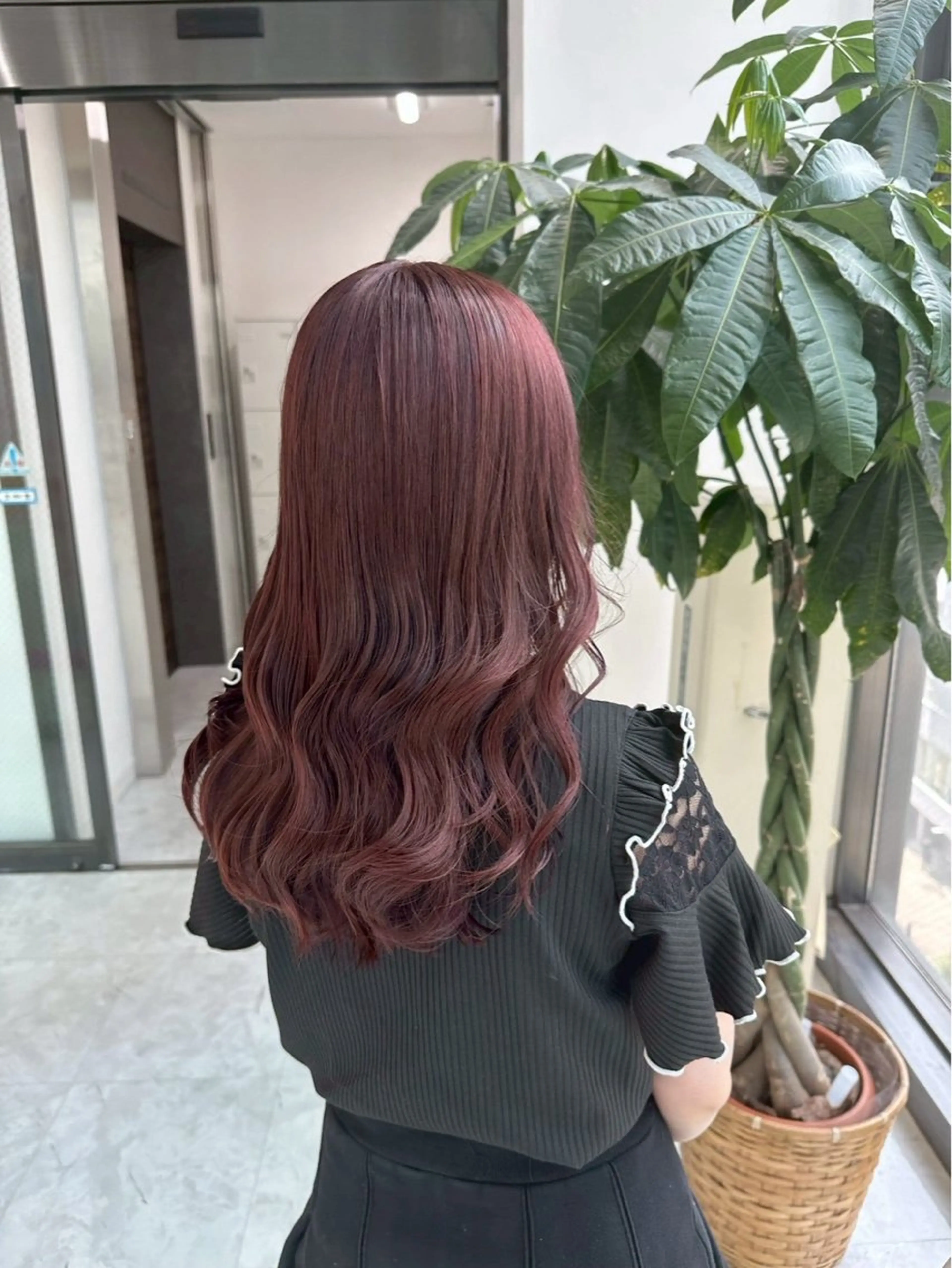 【透け感カラー】ブリーチなしダブルカラー🩶の写真
