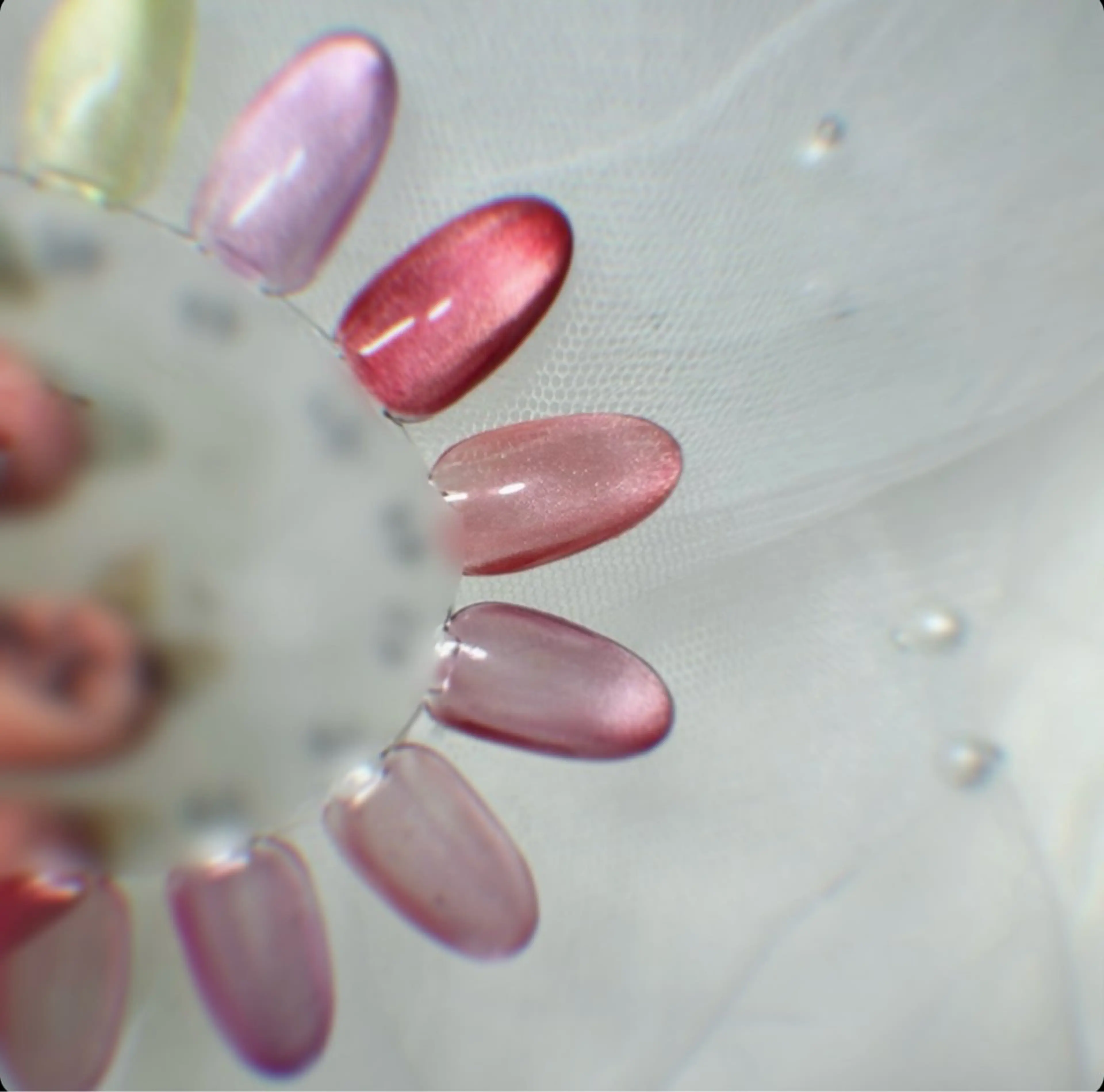 ネイル ち さのネイルデザイン