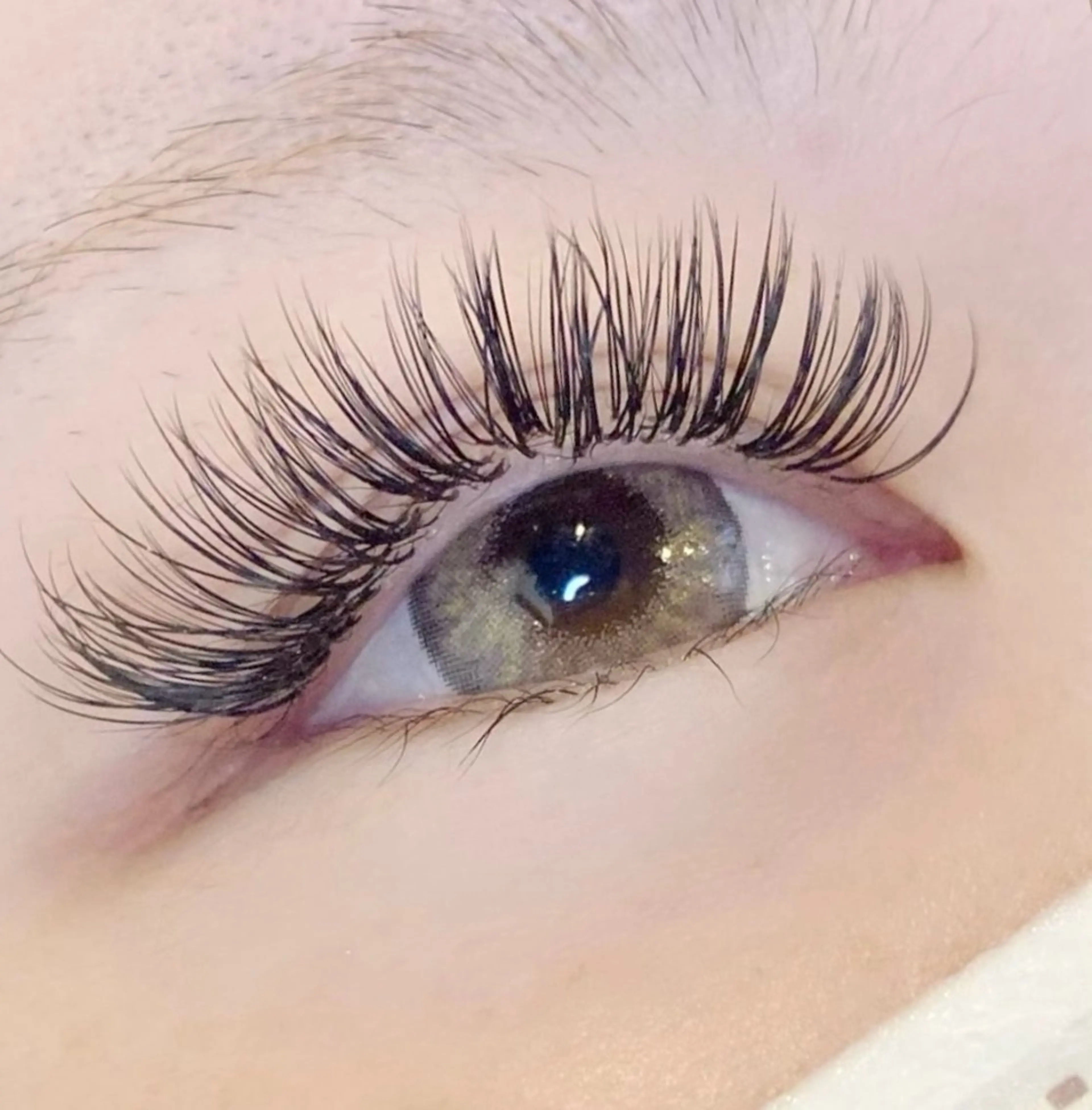 【バインドロック】100束の写真