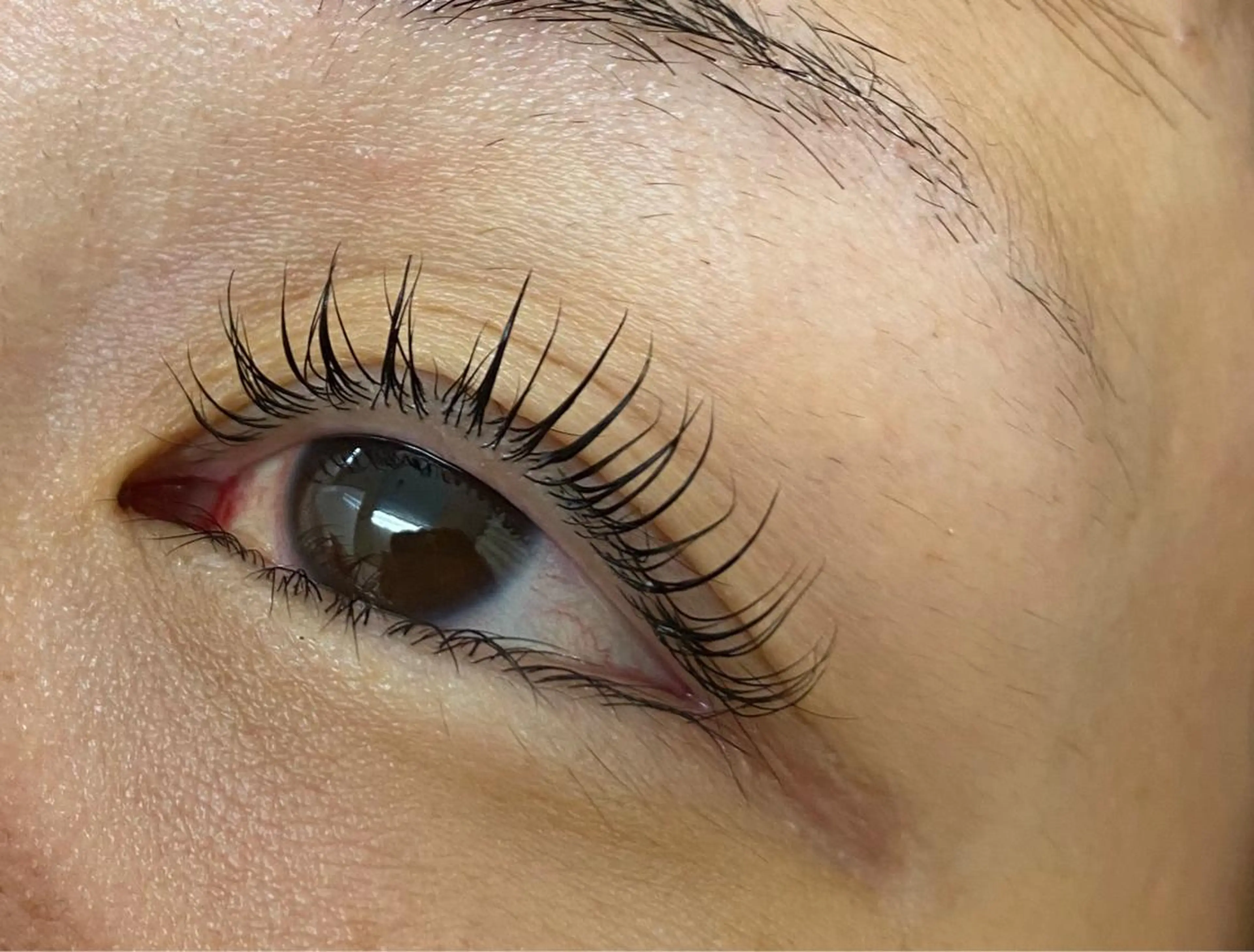 マツエク・マツパ cambiar所属・カンビ アールのマツエク・マツパデザイン