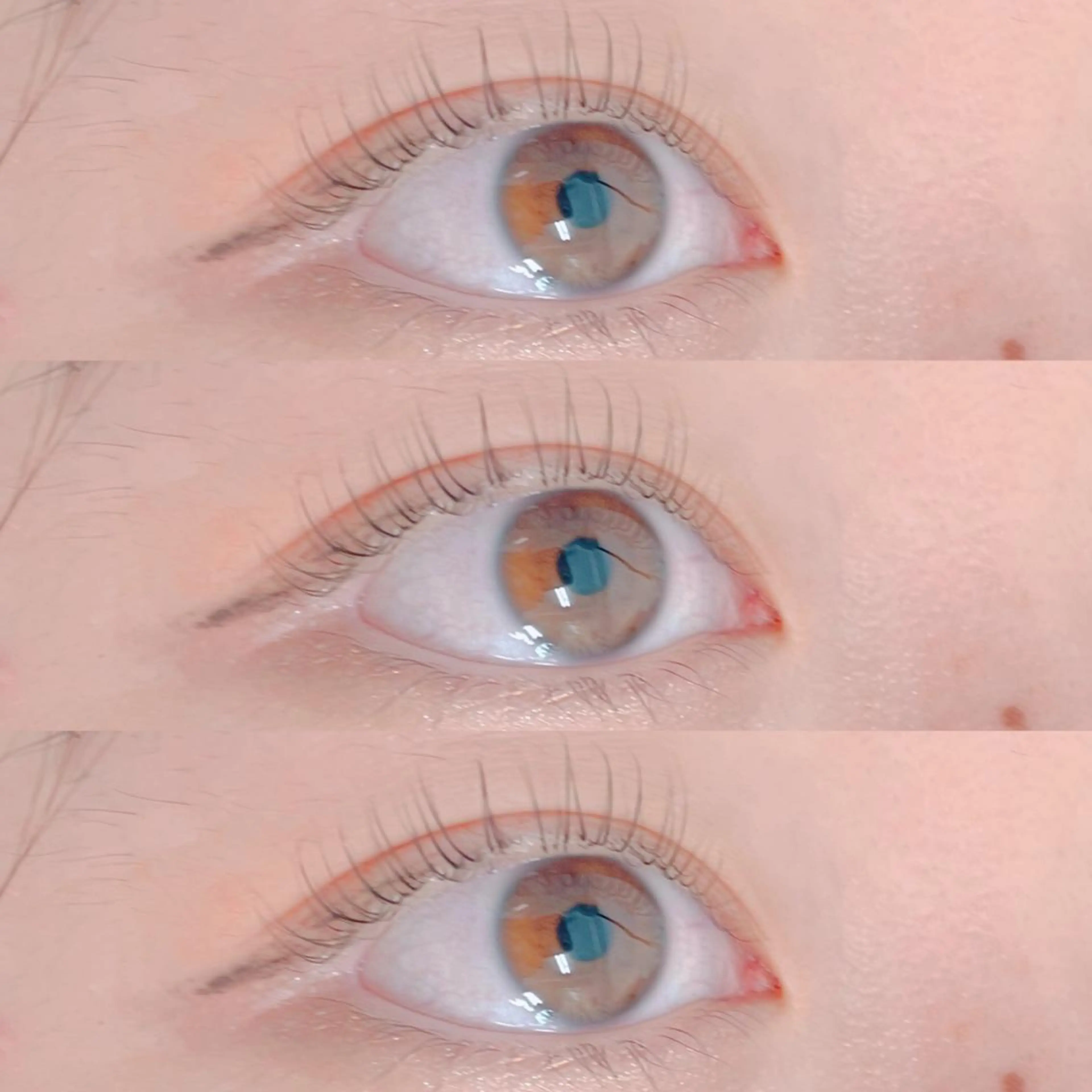 マツエク・マツパ Dカール 一重×まつ毛パーマ マツパ A yuのマツエク・マツパデザイン