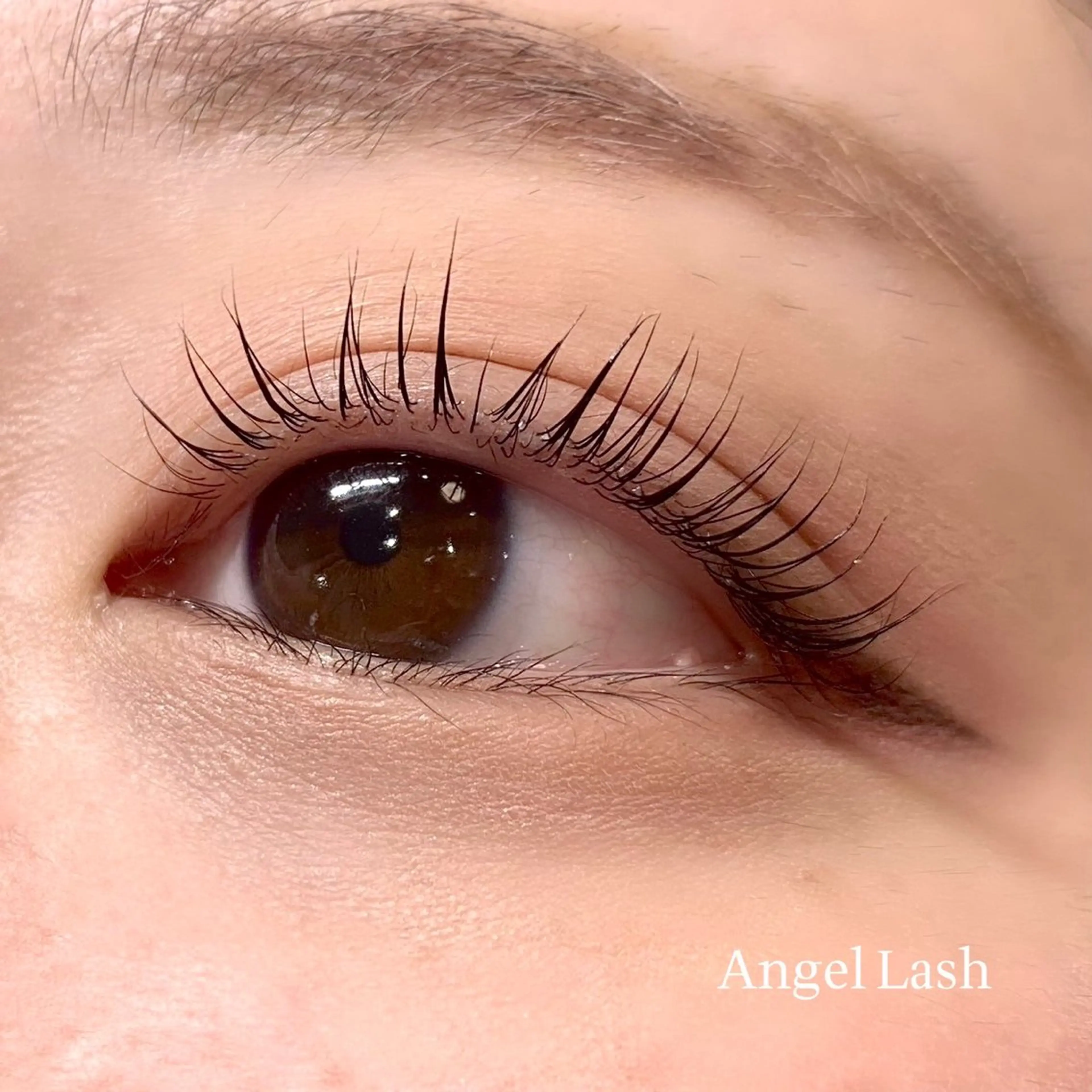 パーマ THE EYEBROW 「ザ・アイブロウ」大宮店所属・sugimachi 🦋のマツエク・マツパデザイン