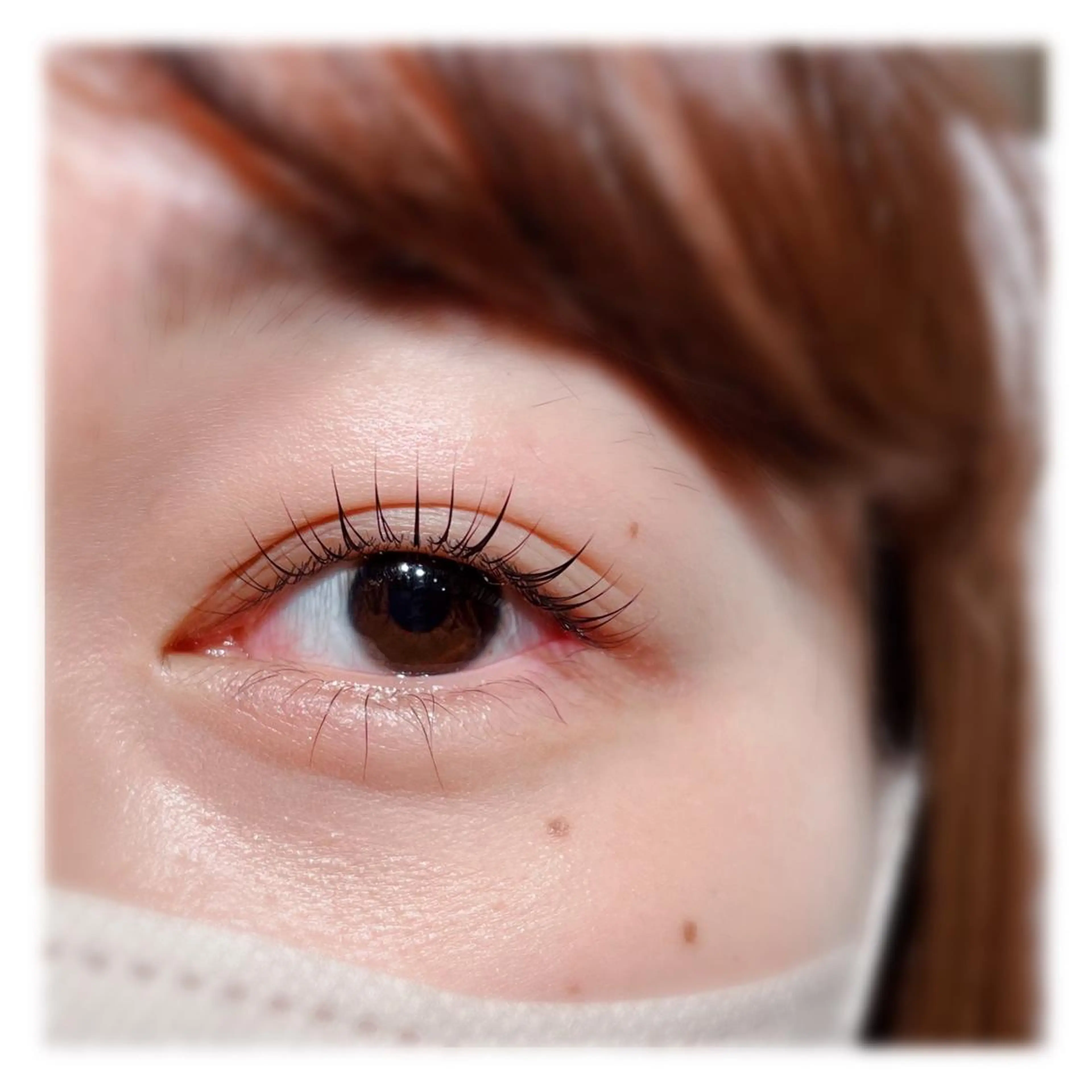 マツエク・マツパ 束感まつ毛 韓国風マツエク まつげパーマ Biolus/天王寺 2号店🌼Arisaのマツエク・マツパデザイン